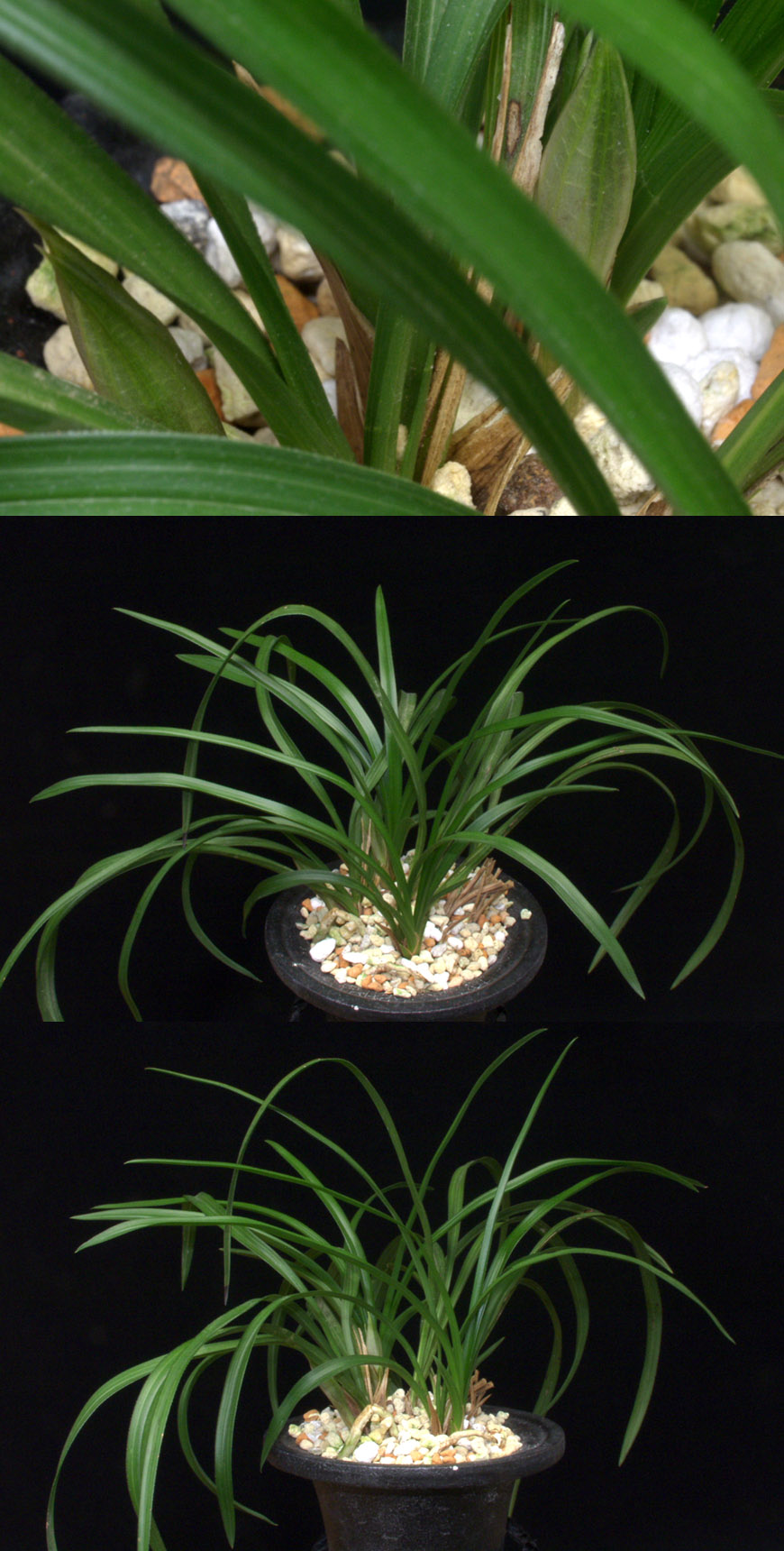 ������ ū������ �� �� �ֽ��ϴ�.