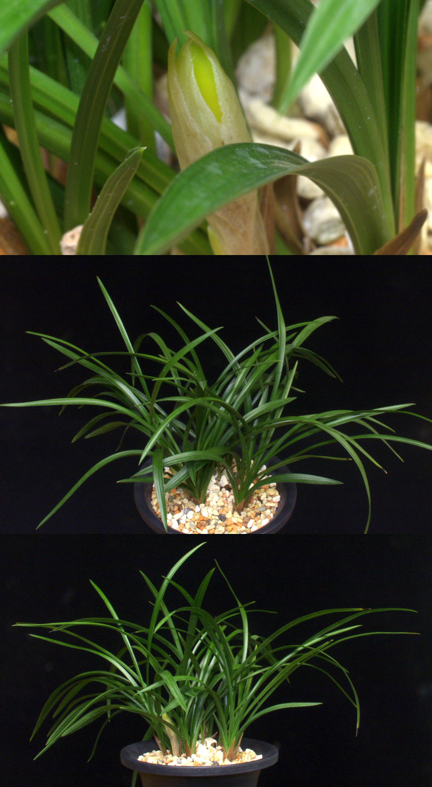 ������ ū������ �� �� �ֽ��ϴ�.