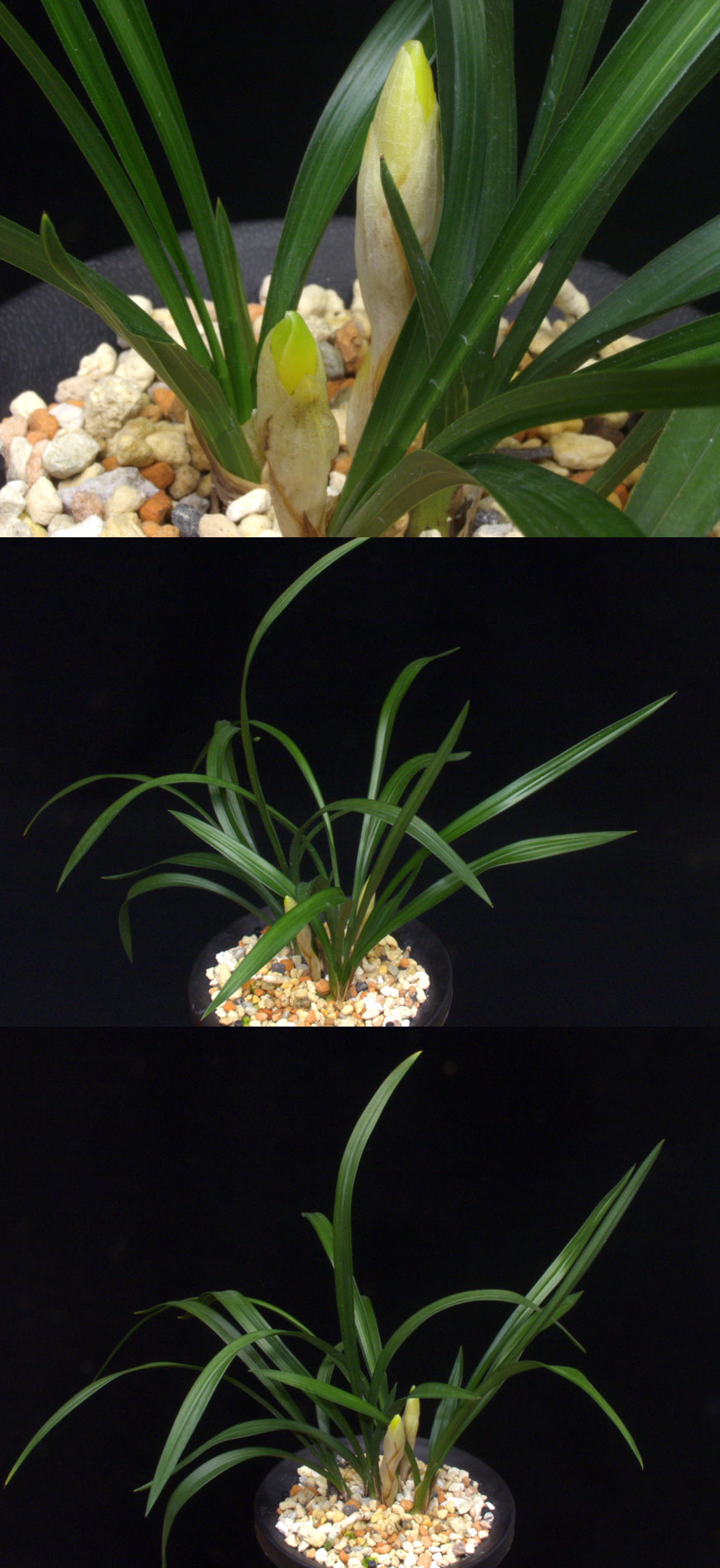 ������ ū������ �� �� �ֽ��ϴ�.