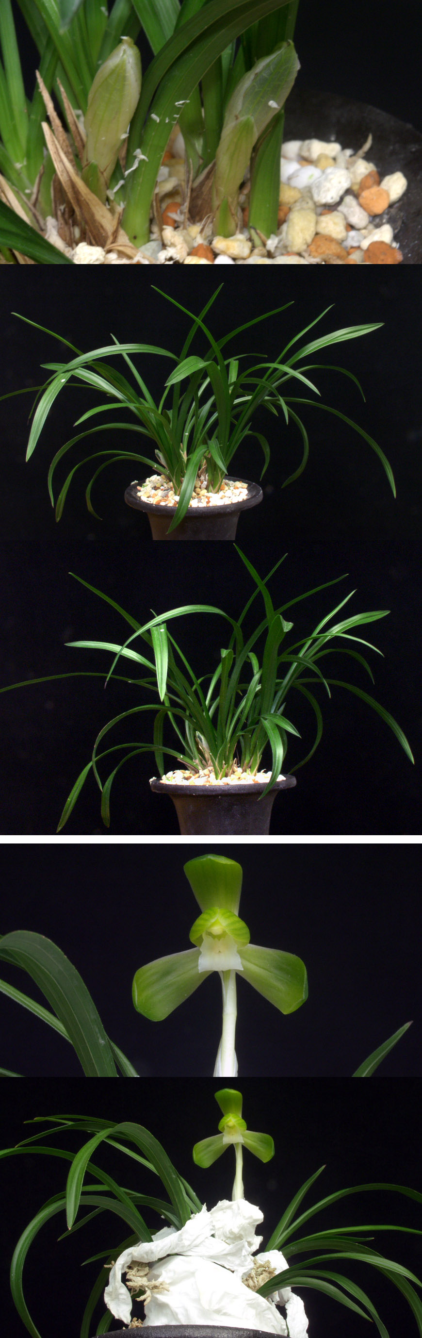 ������ ū������ �� �� �ֽ��ϴ�.