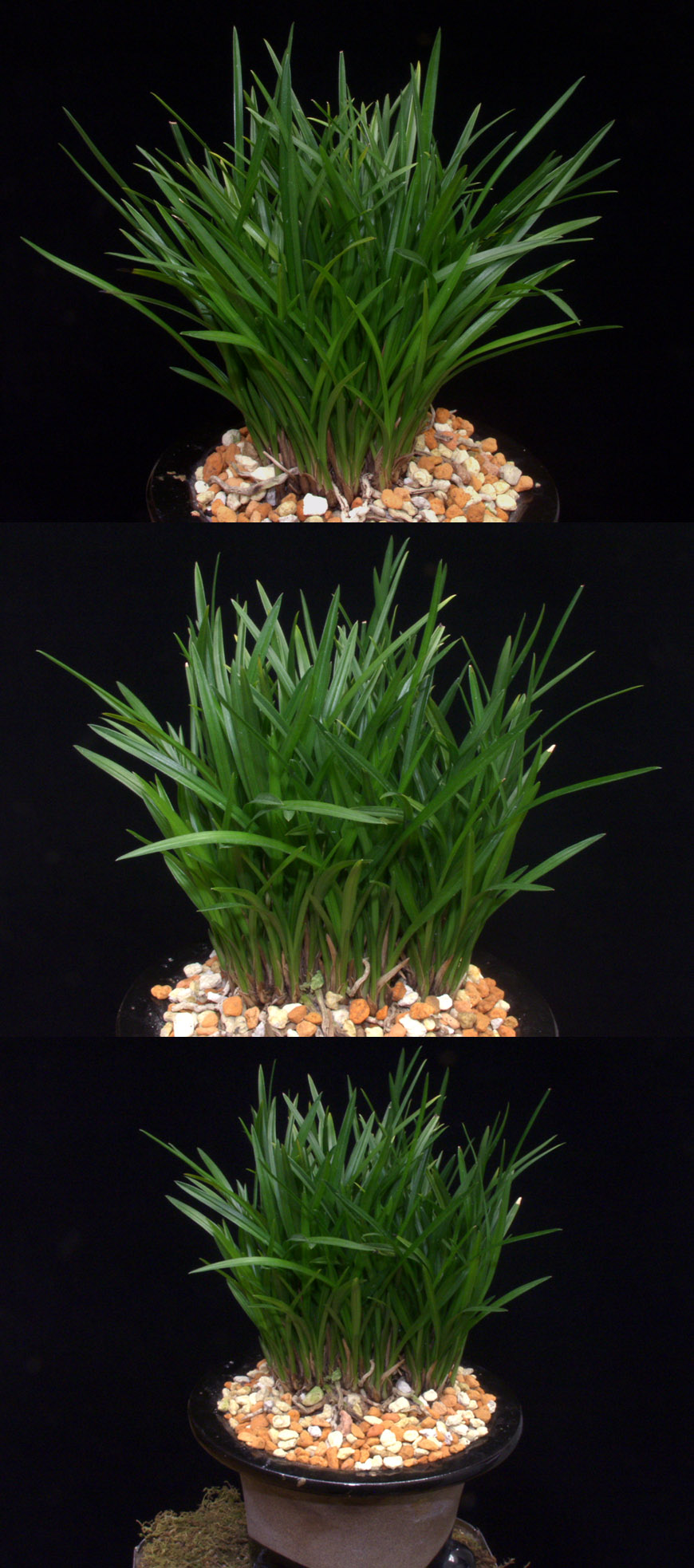 ������ ū������ �� �� �ֽ��ϴ�.