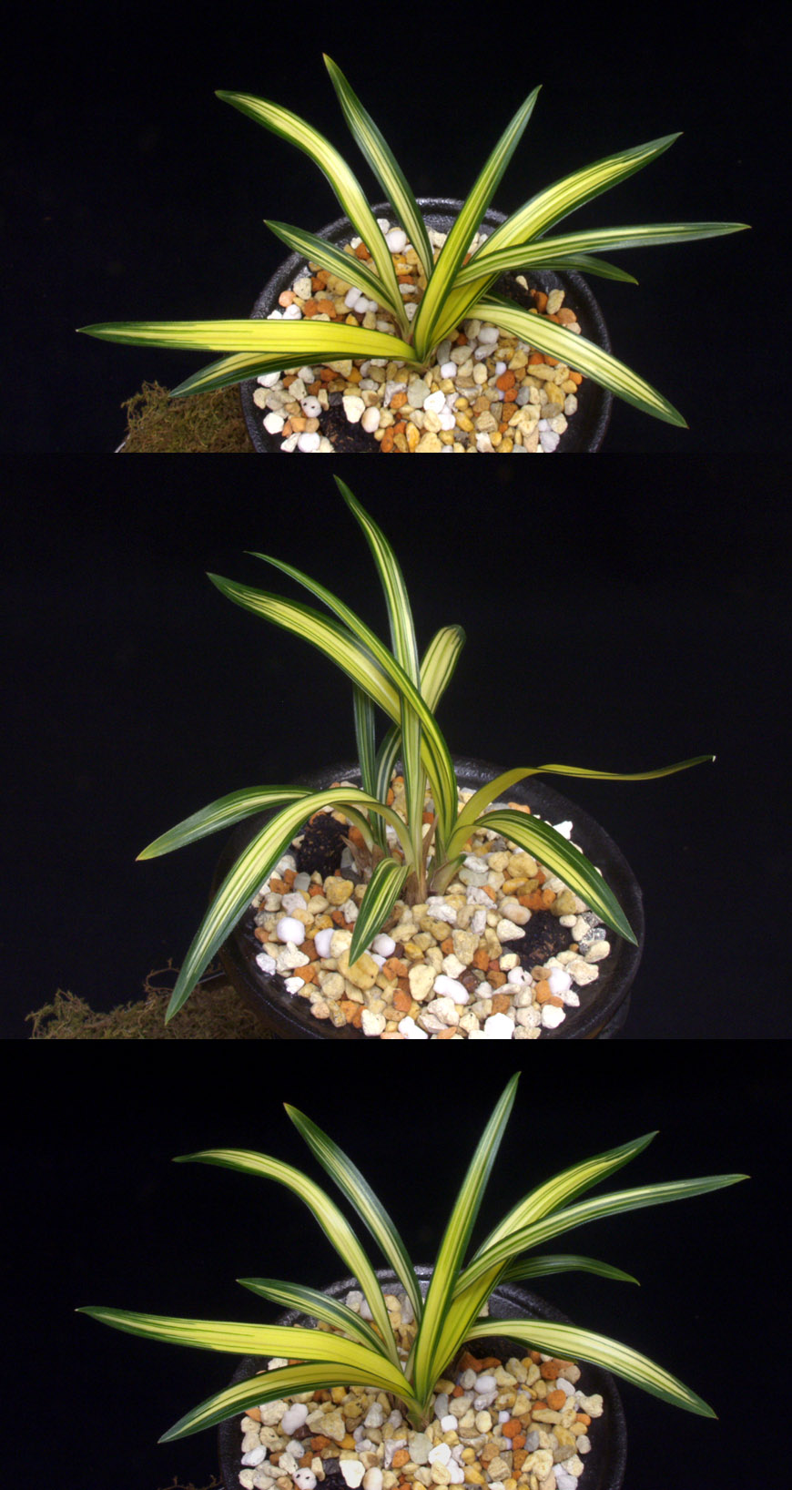 ������ ū������ �� �� �ֽ��ϴ�.