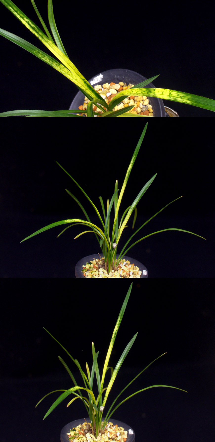 ������ ū������ �� �� �ֽ��ϴ�.