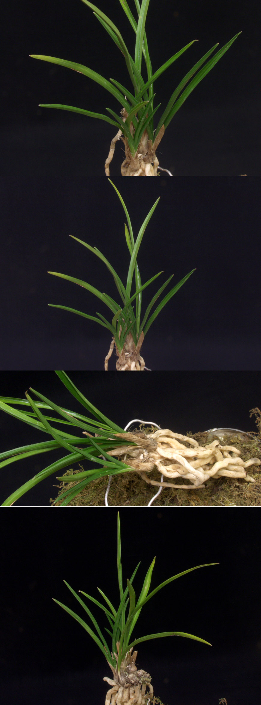 ������ ū������ �� �� �ֽ��ϴ�.