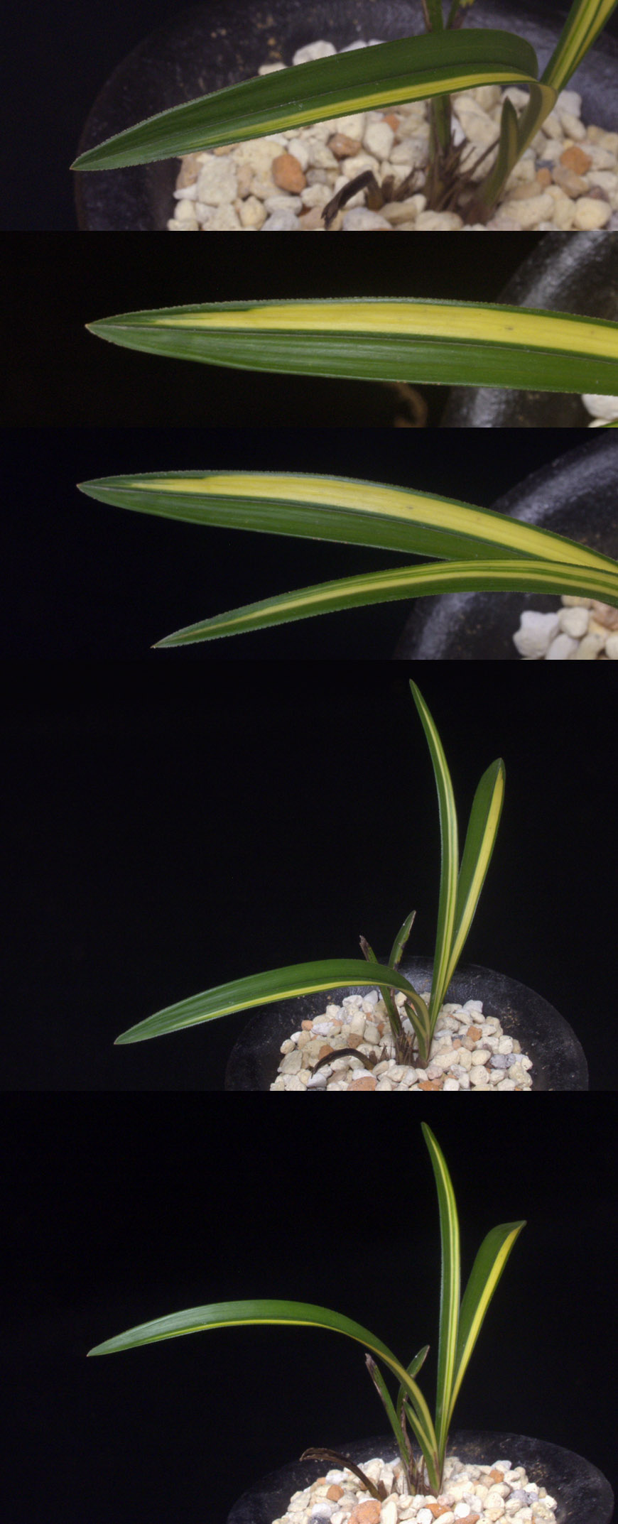 ������ ū������ �� �� �ֽ��ϴ�.