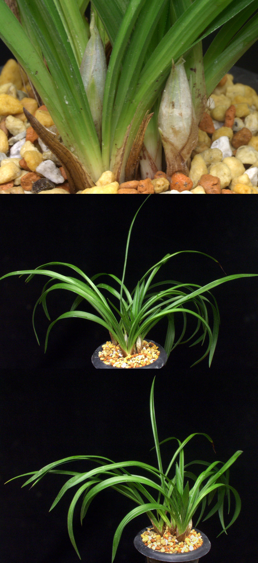 ������ ū������ �� �� �ֽ��ϴ�.