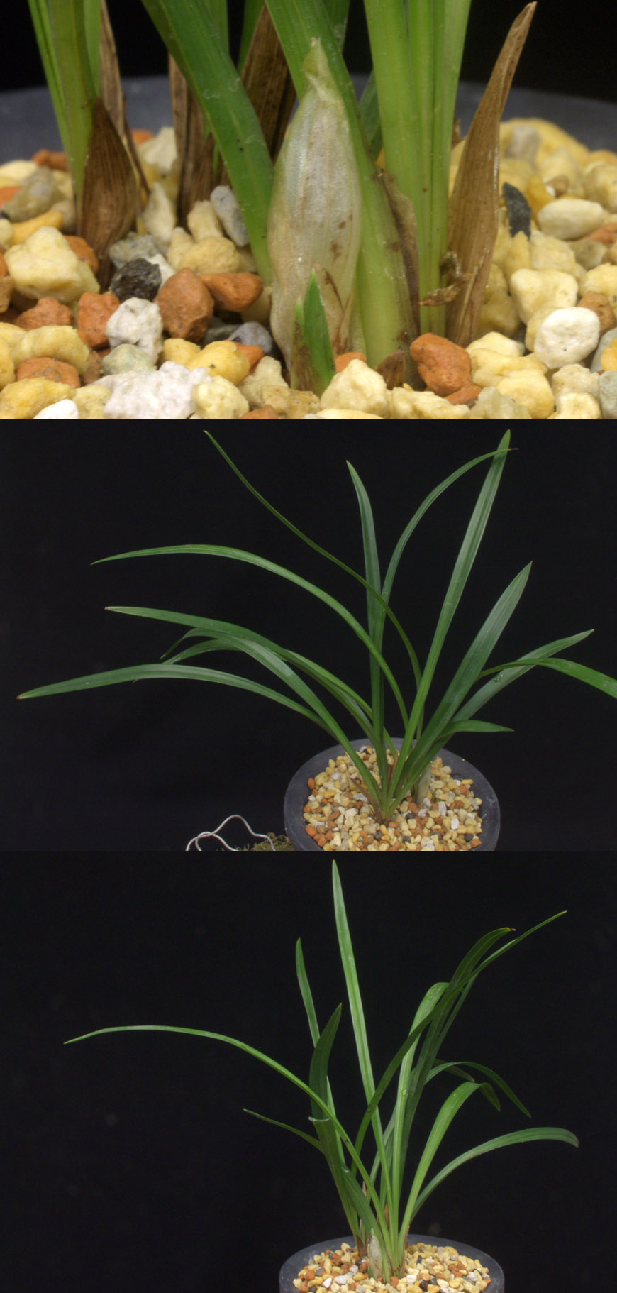 ������ ū������ �� �� �ֽ��ϴ�.