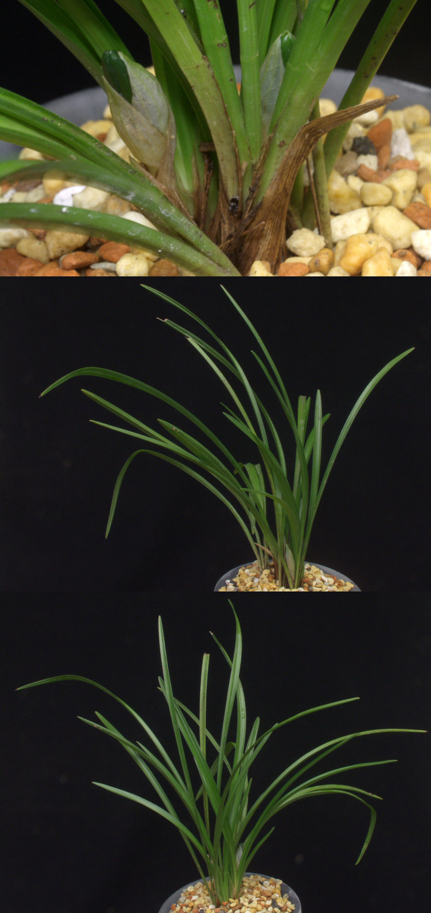 ������ ū������ �� �� �ֽ��ϴ�.