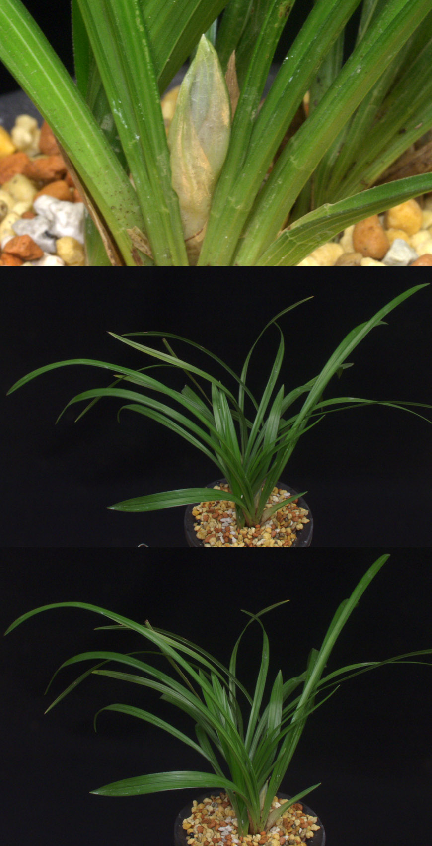 ������ ū������ �� �� �ֽ��ϴ�.