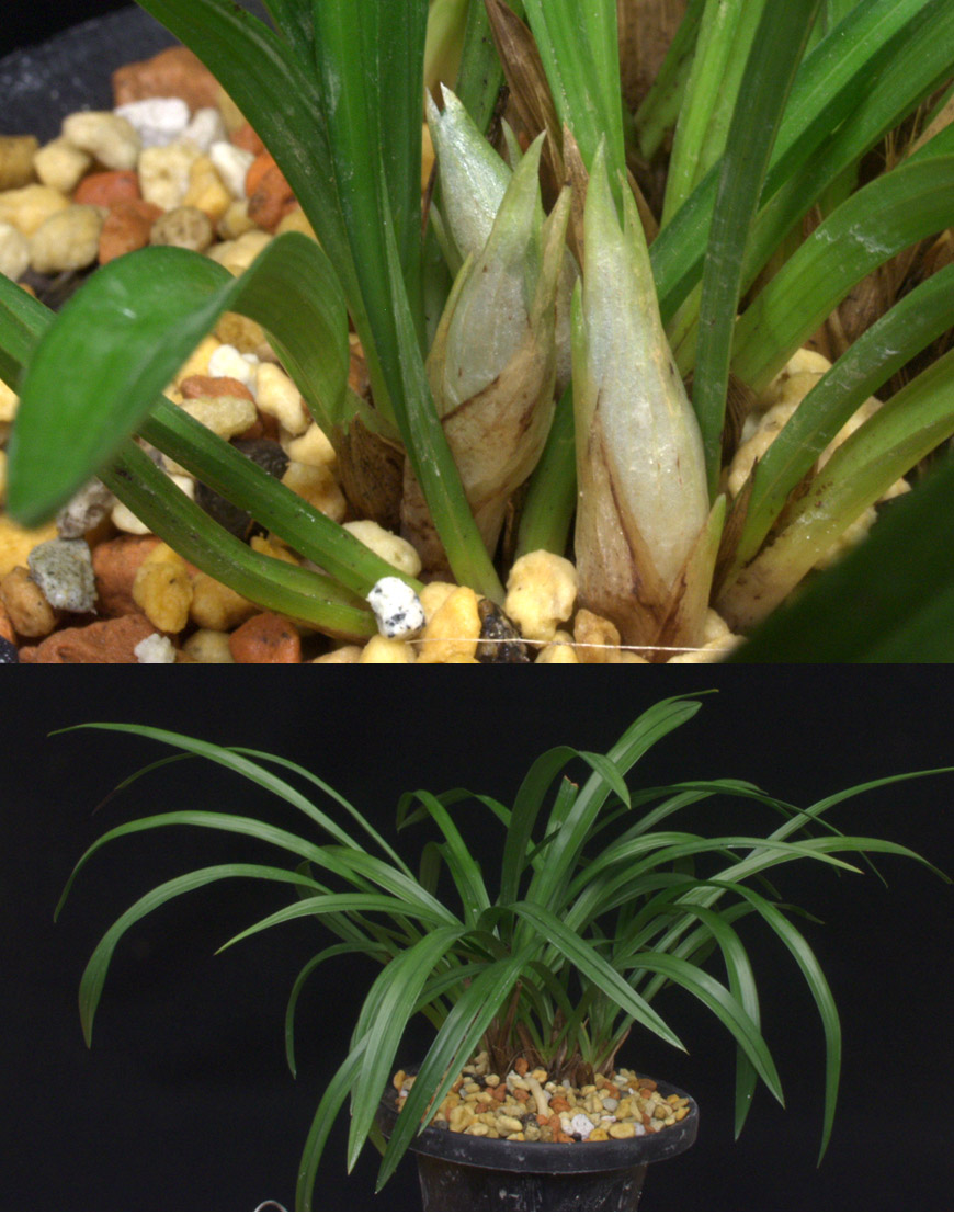 ������ ū������ �� �� �ֽ��ϴ�.