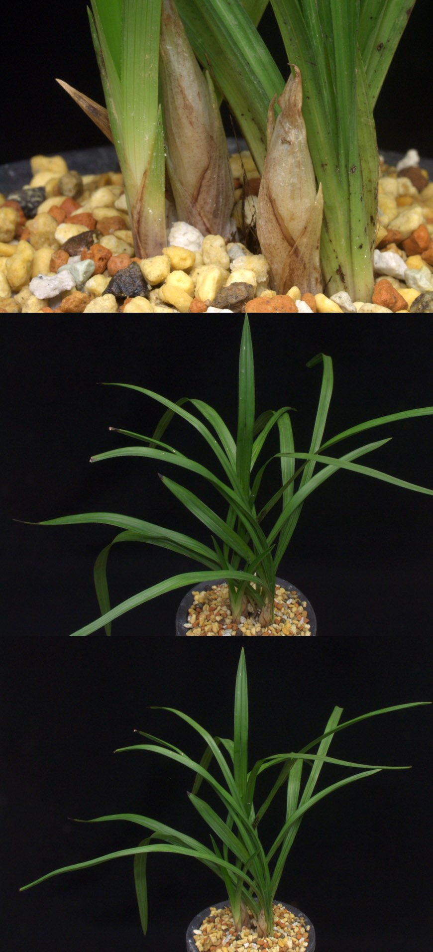 ������ ū������ �� �� �ֽ��ϴ�.