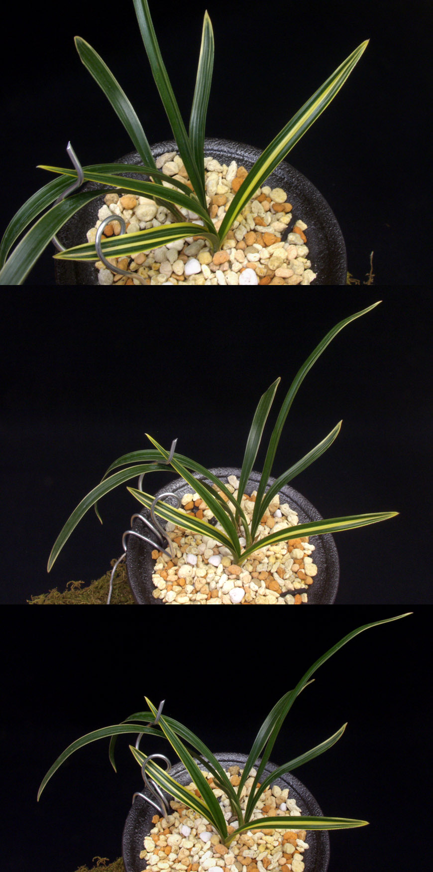 ������ ū������ �� �� �ֽ��ϴ�.