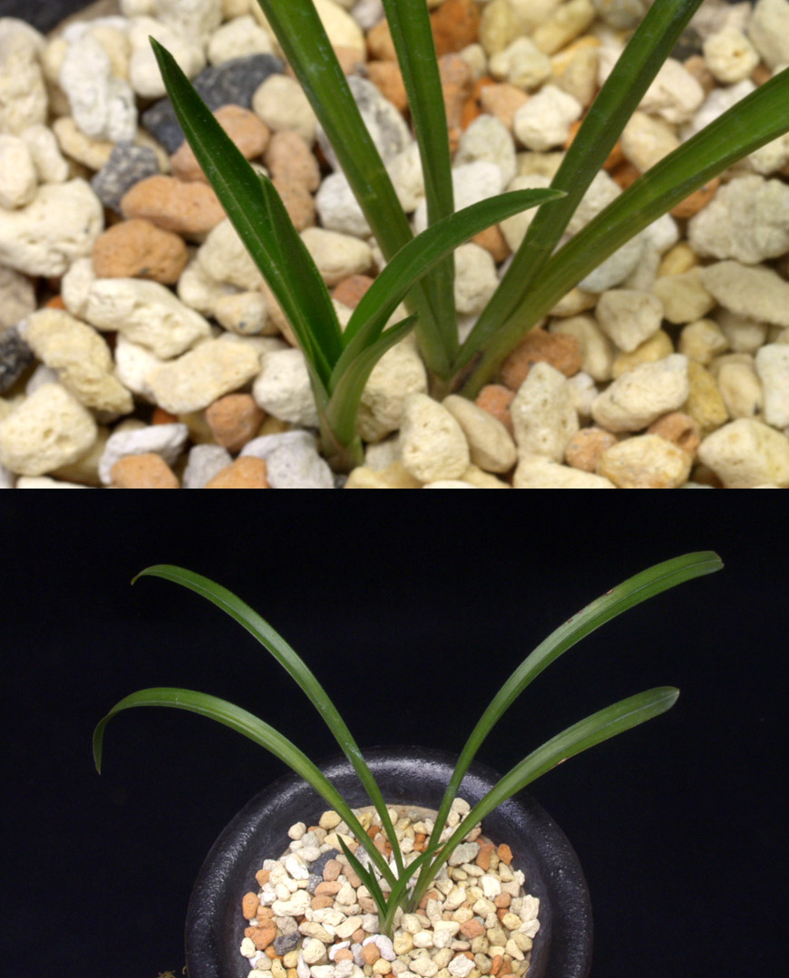 ������ ū������ �� �� �ֽ��ϴ�.