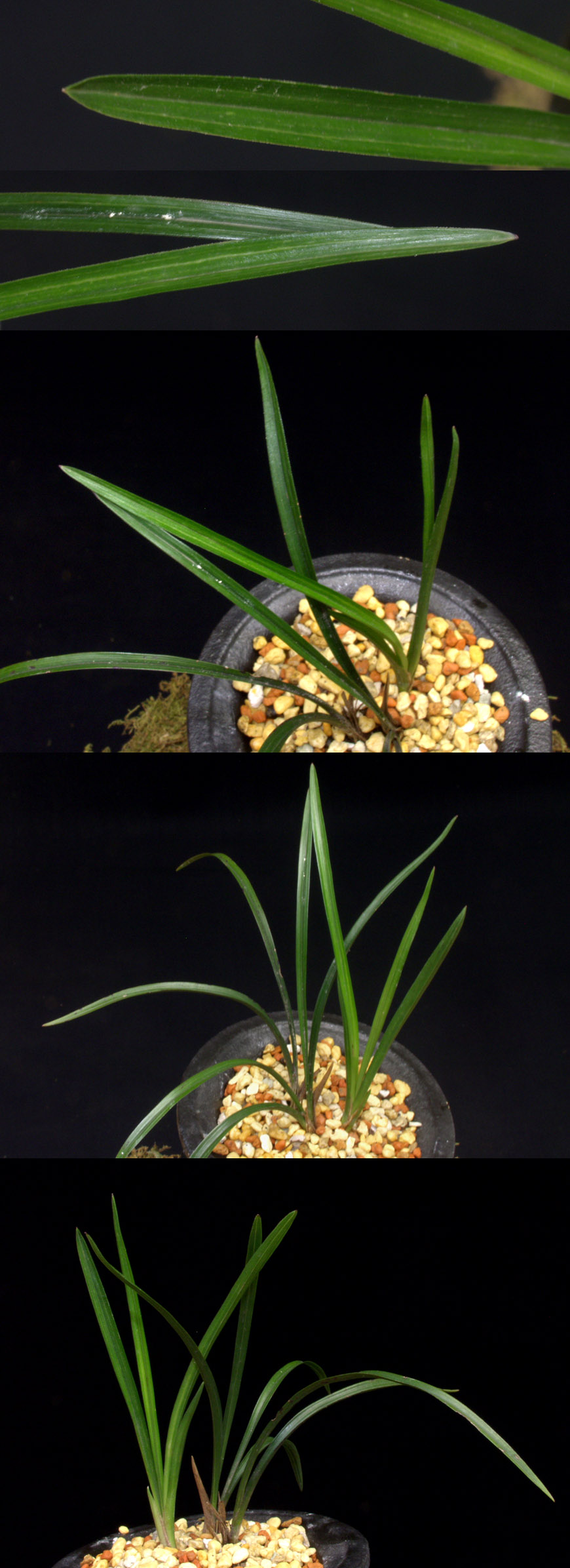 ������ ū������ �� �� �ֽ��ϴ�.