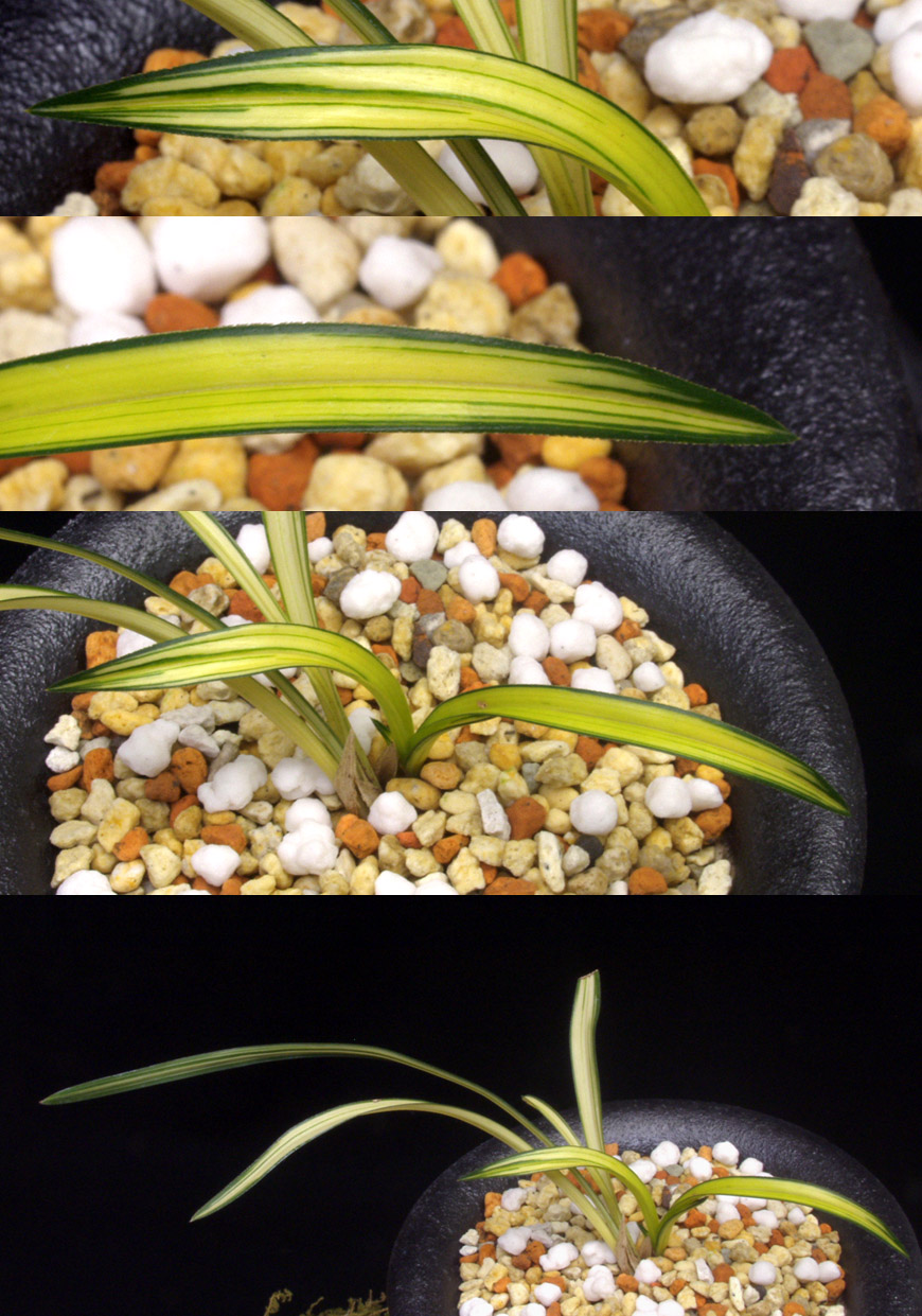 ������ ū������ �� �� �ֽ��ϴ�.