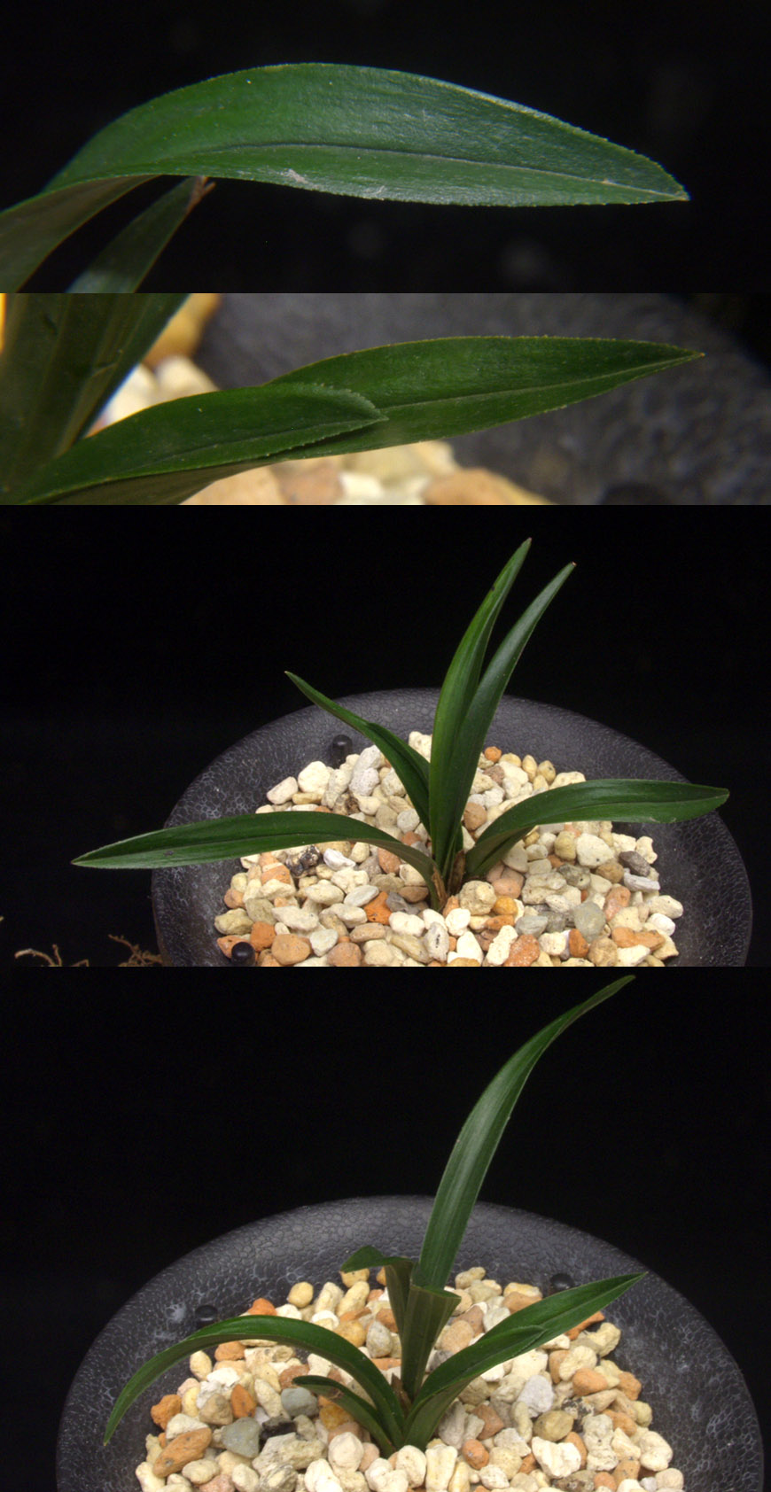 ������ ū������ �� �� �ֽ��ϴ�.