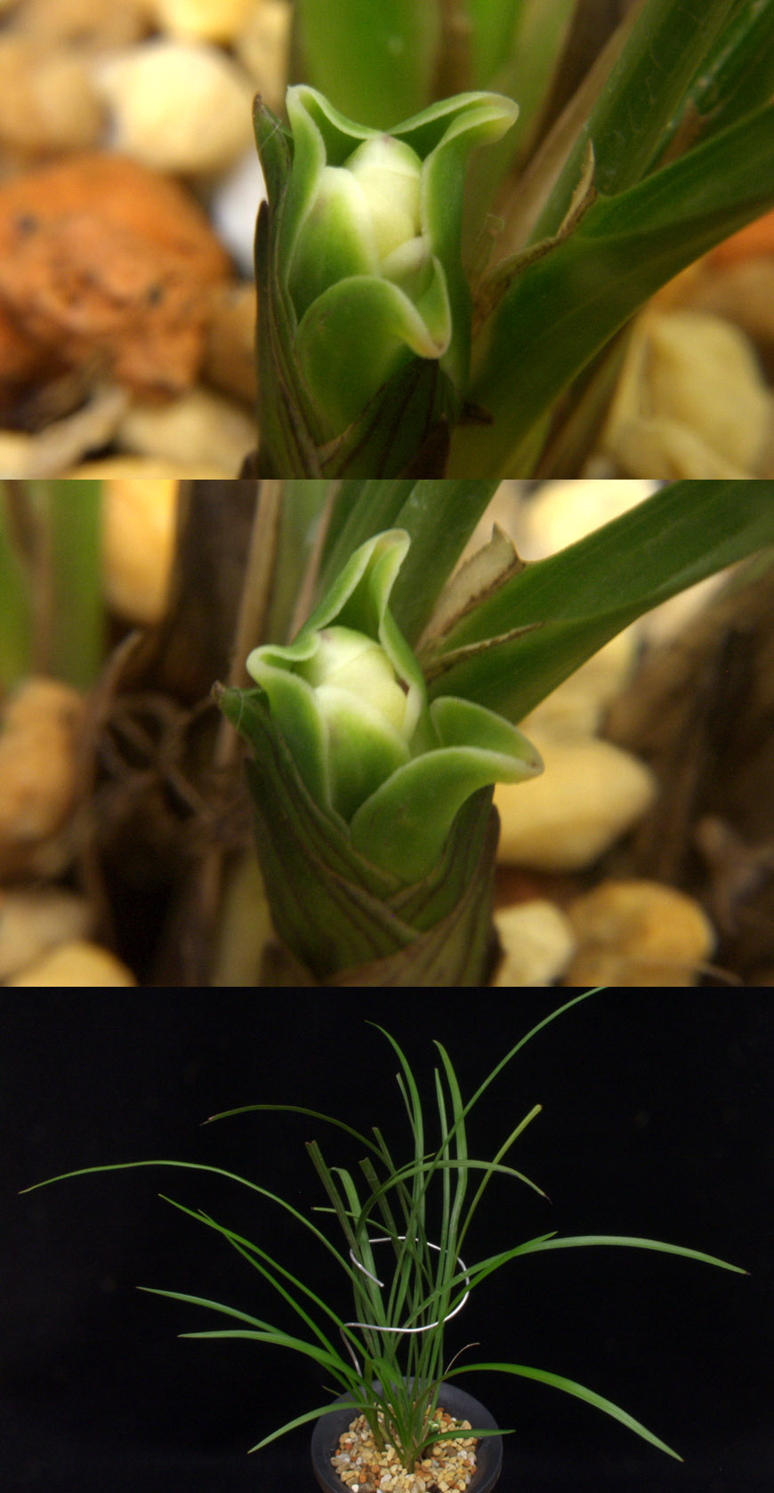 ������ ū������ �� �� �ֽ��ϴ�.