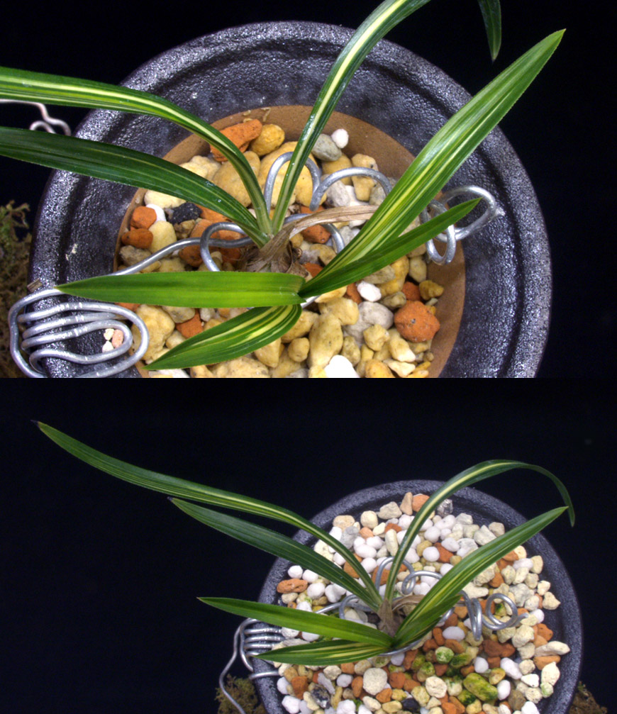 ������ ū������ �� �� �ֽ��ϴ�.