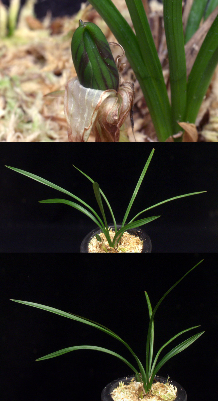 ������ ū������ �� �� �ֽ��ϴ�.