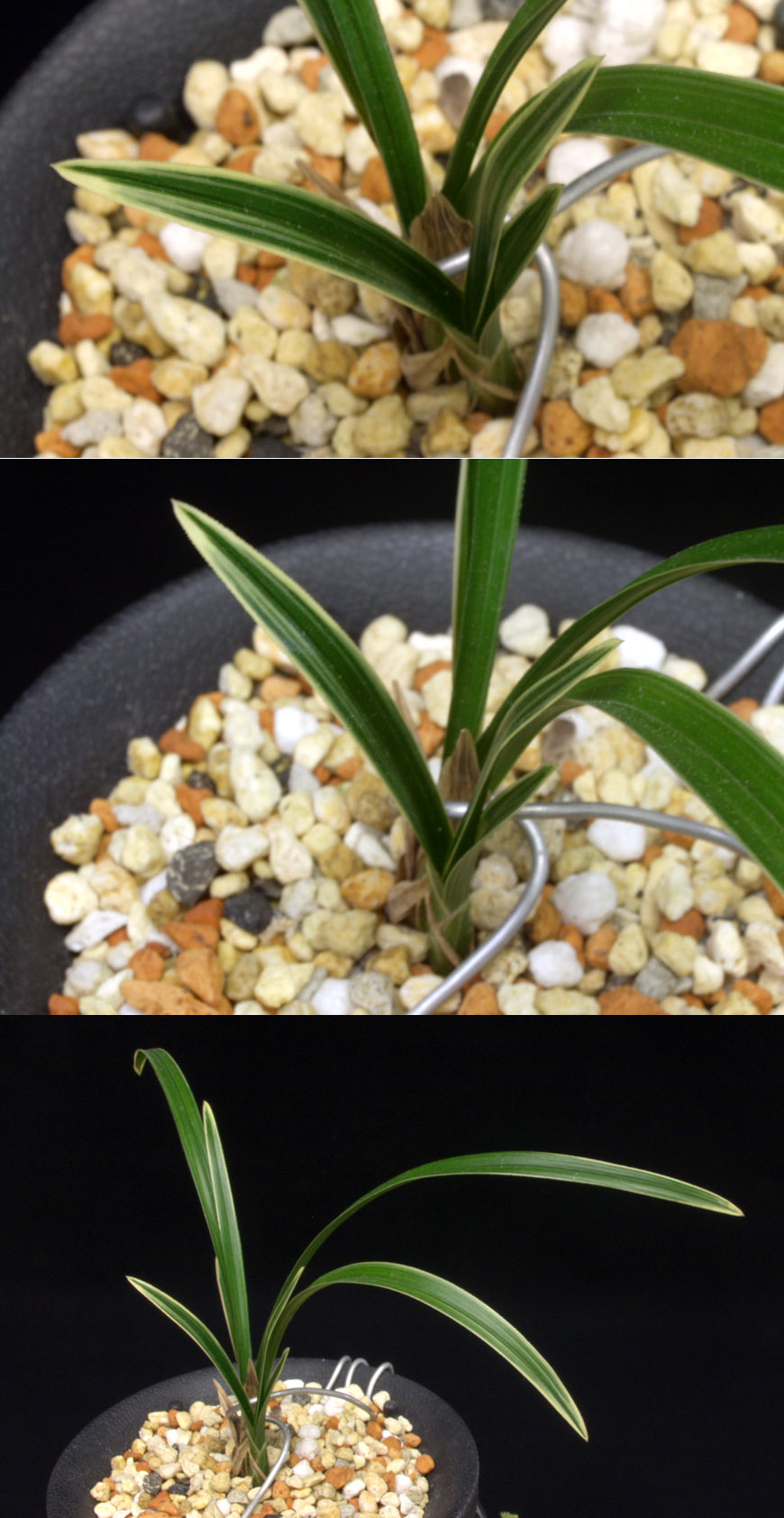 ������ ū������ �� �� �ֽ��ϴ�.