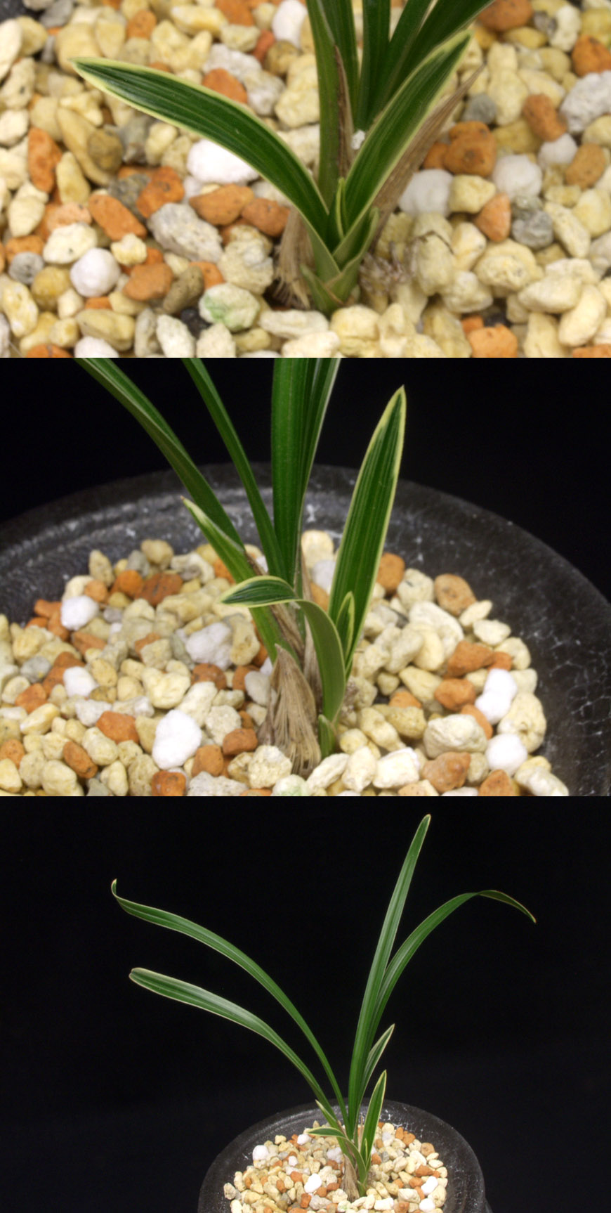 ������ ū������ �� �� �ֽ��ϴ�.