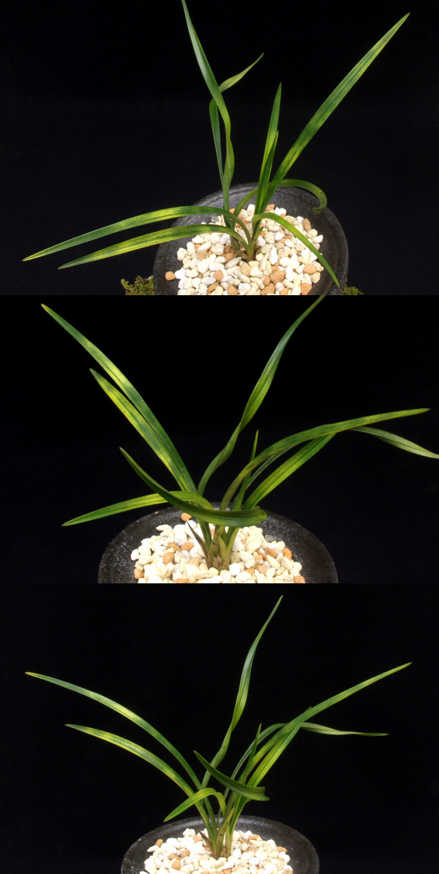 ������ ū������ �� �� �ֽ��ϴ�.