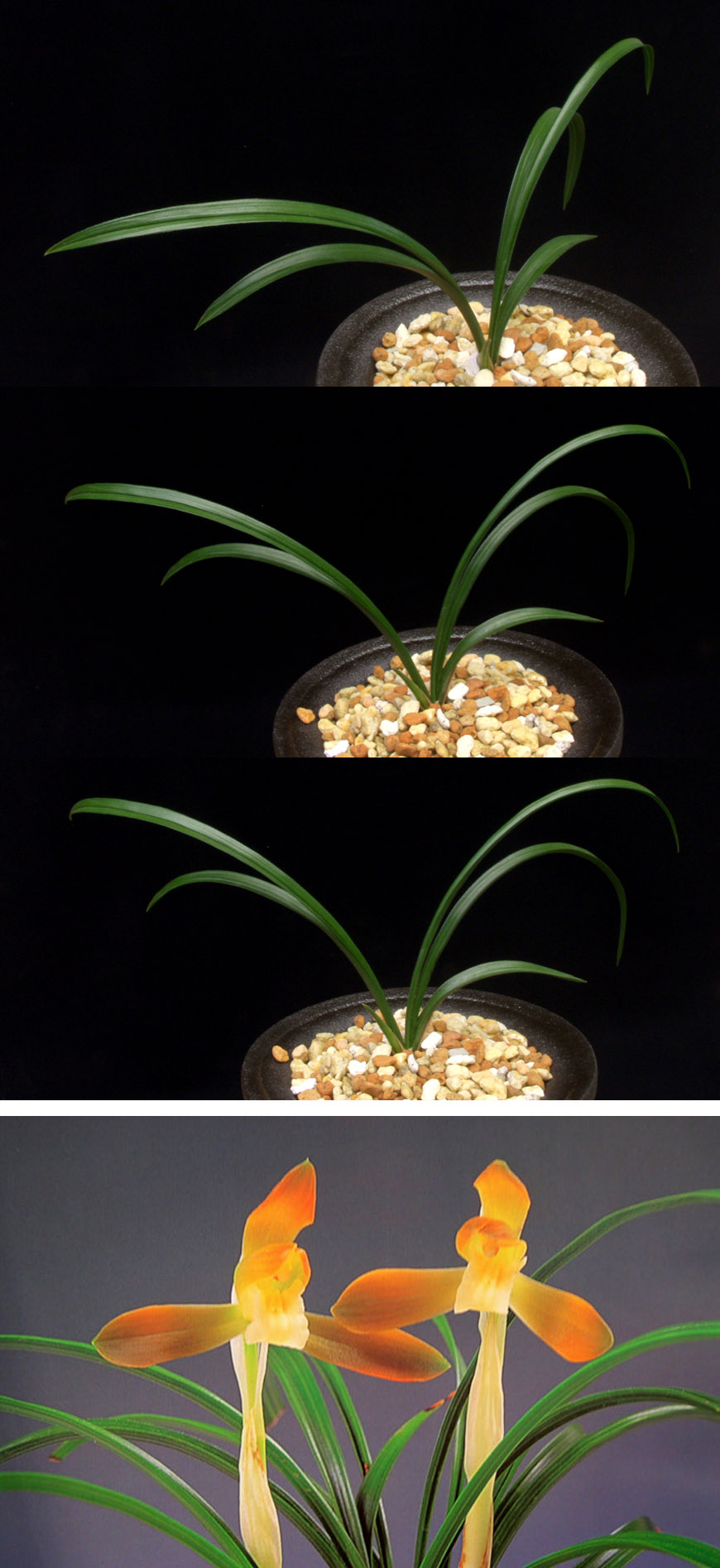 ������ ū������ �� �� �ֽ��ϴ�.