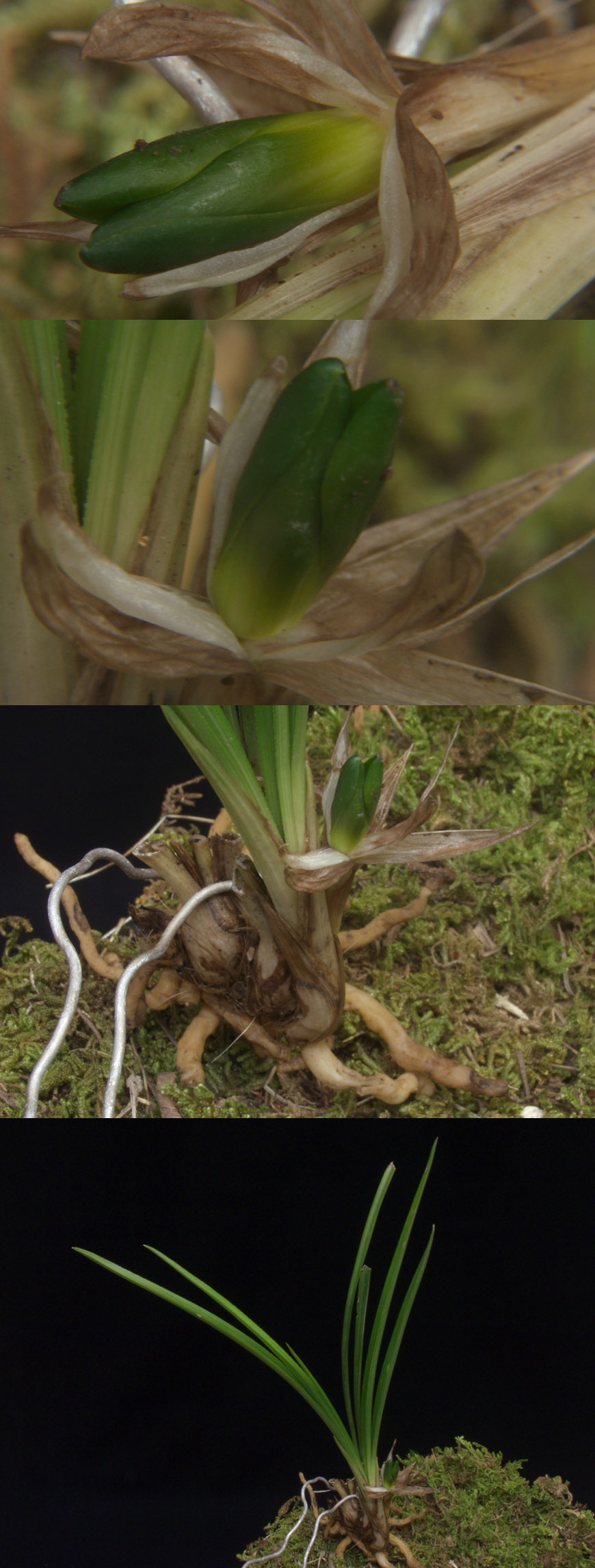 ������ ū������ �� �� �ֽ��ϴ�.