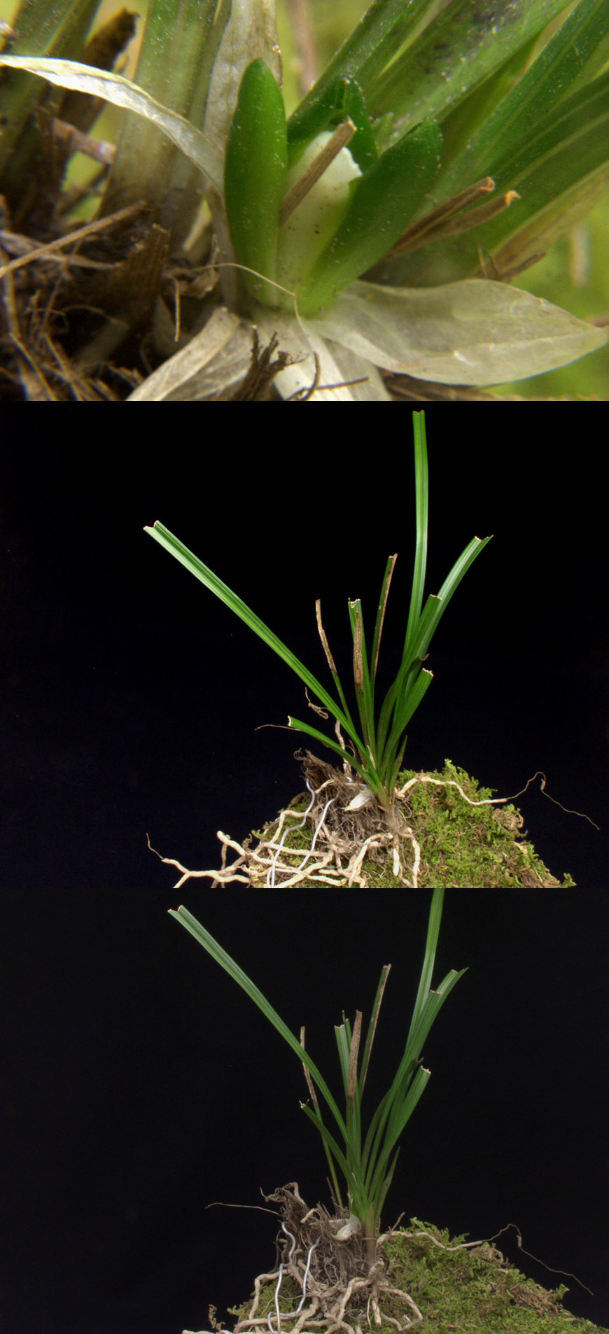 ������ ū������ �� �� �ֽ��ϴ�.