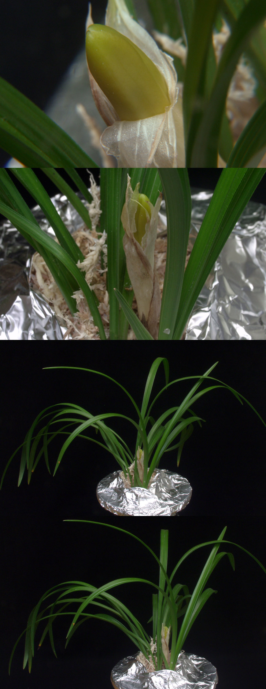 ������ ū������ �� �� �ֽ��ϴ�.