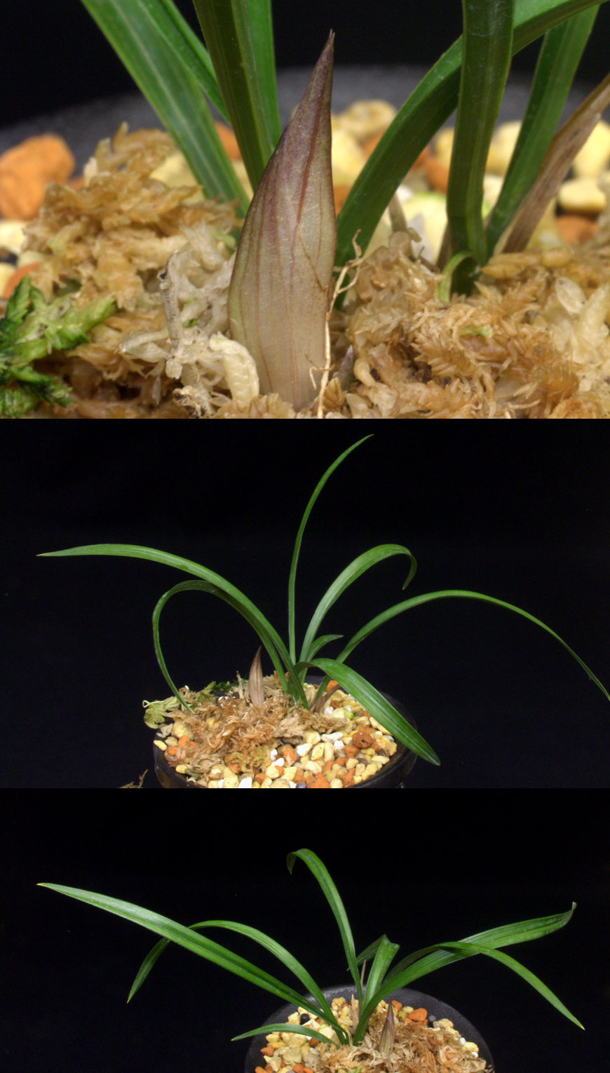 ������ ū������ �� �� �ֽ��ϴ�.