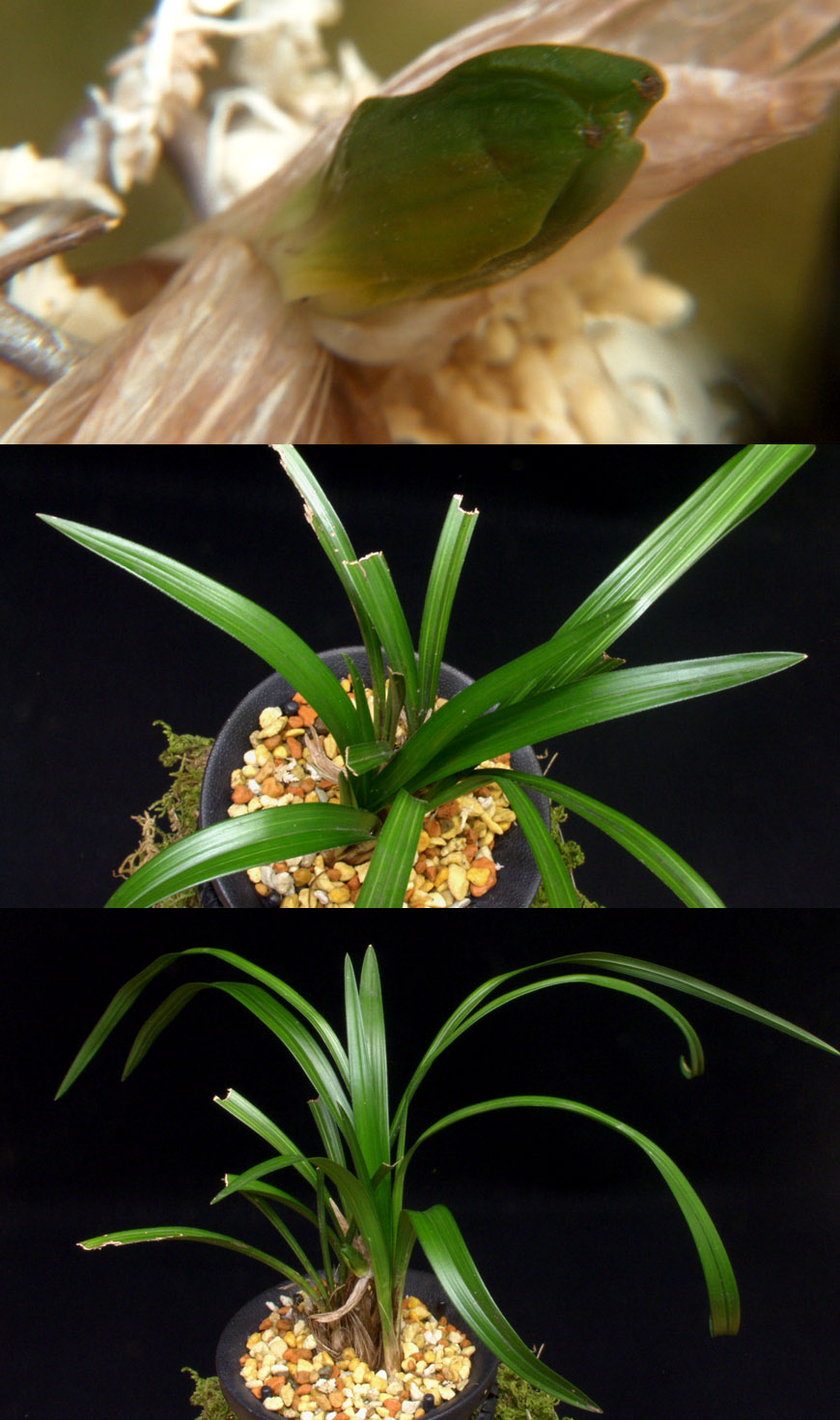 ������ ū������ �� �� �ֽ��ϴ�.