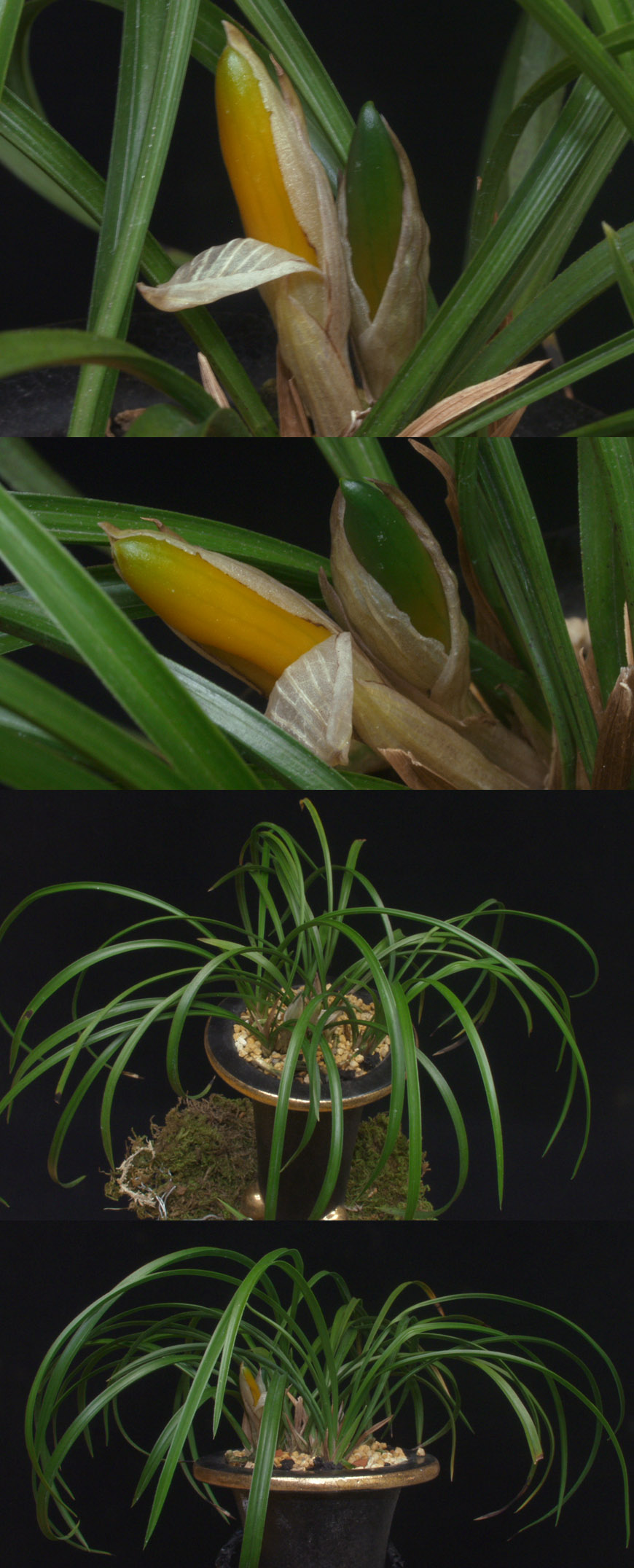 ������ ū������ �� �� �ֽ��ϴ�.