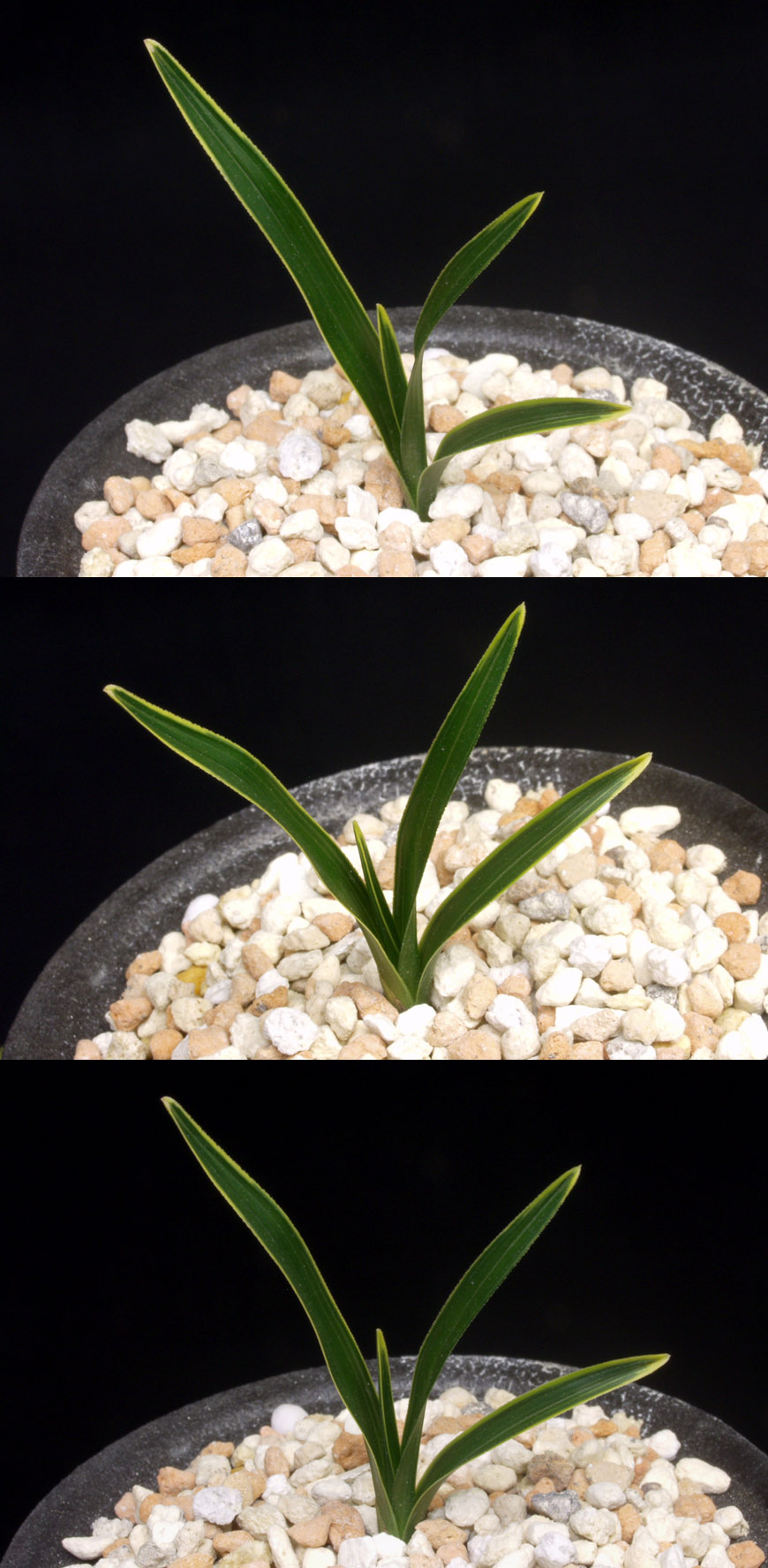 ������ ū������ �� �� �ֽ��ϴ�.