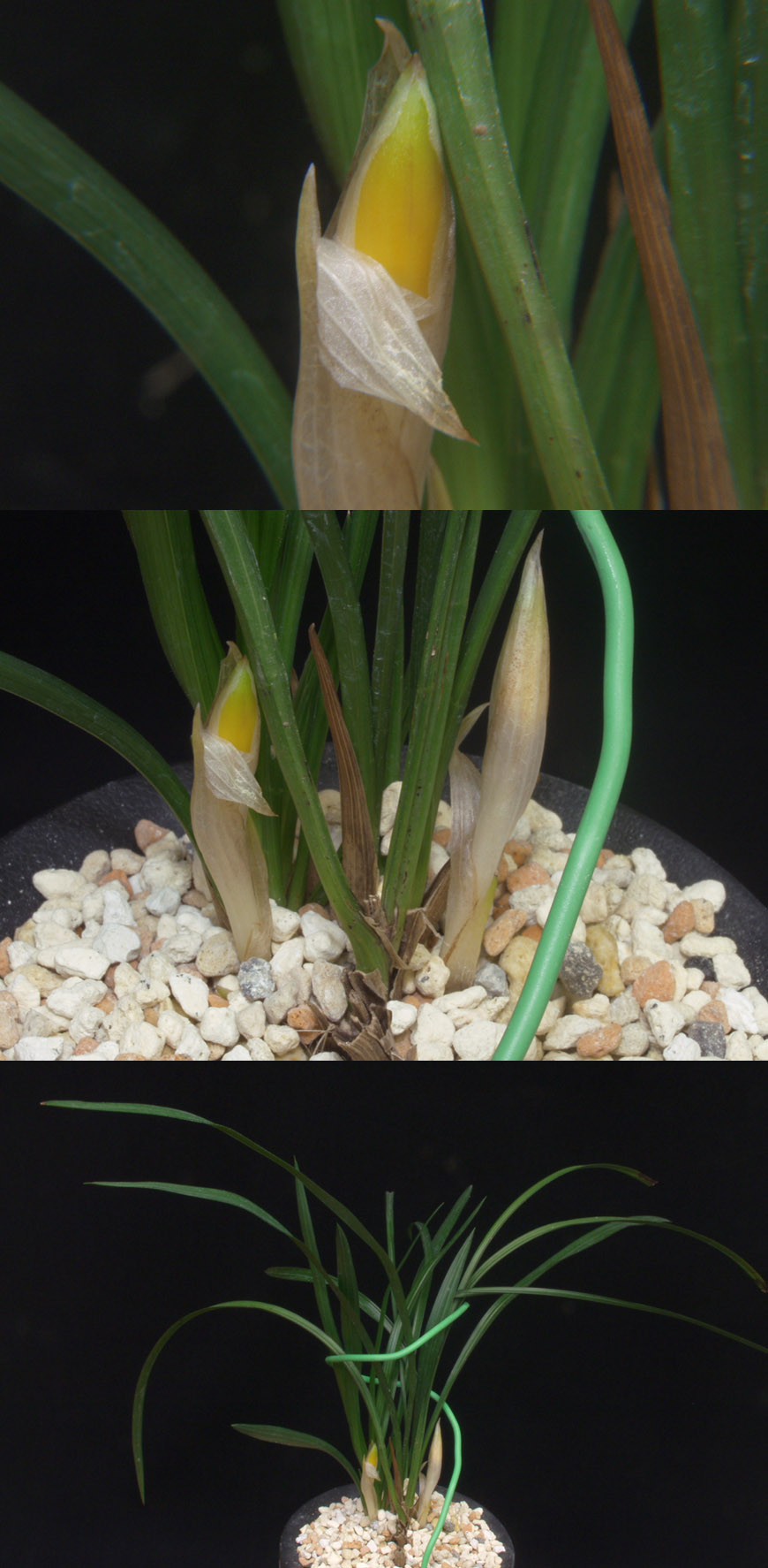 ������ ū������ �� �� �ֽ��ϴ�.