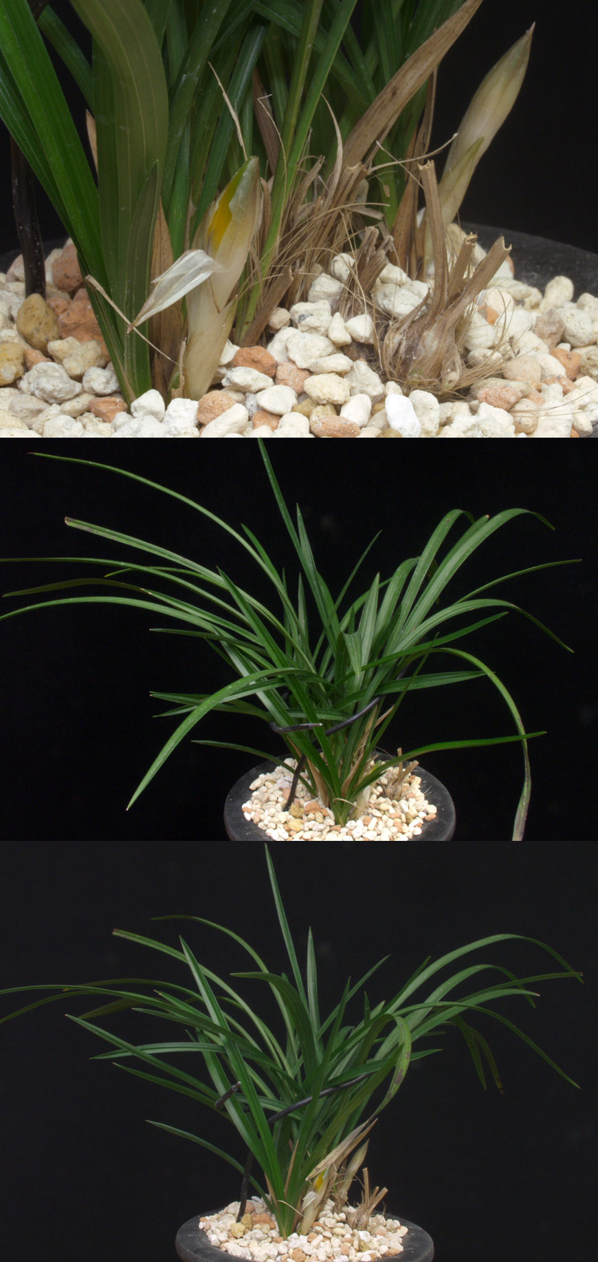 ������ ū������ �� �� �ֽ��ϴ�.