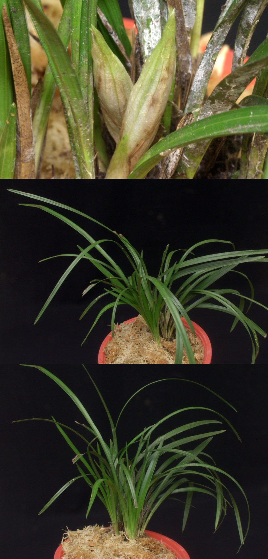 ������ ū������ �� �� �ֽ��ϴ�.