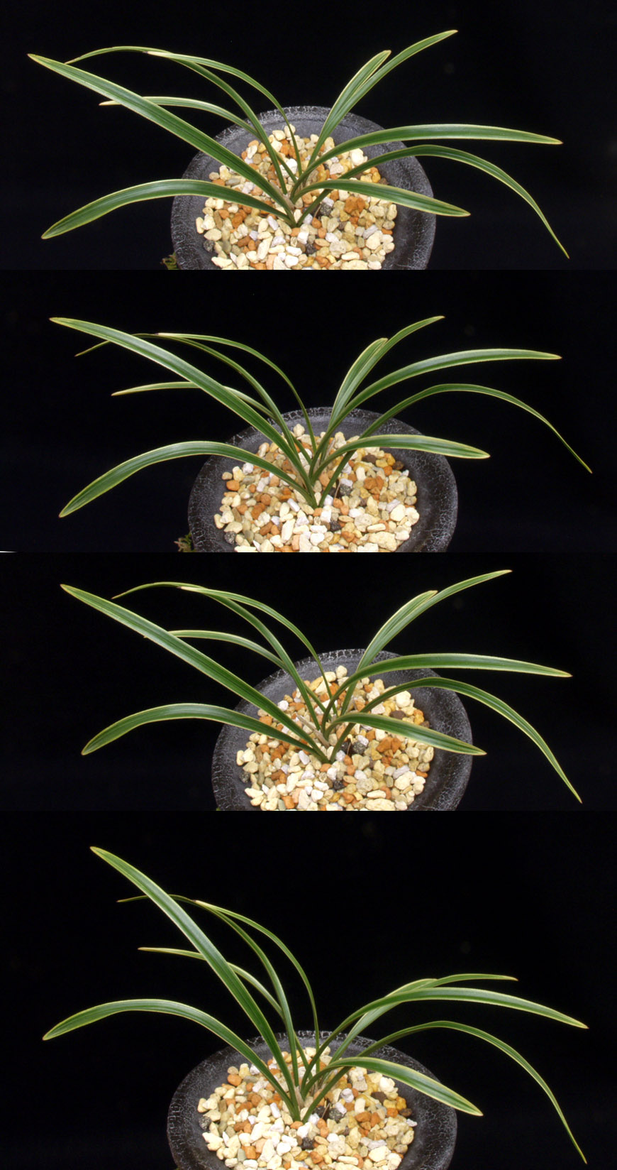 ������ ū������ �� �� �ֽ��ϴ�.