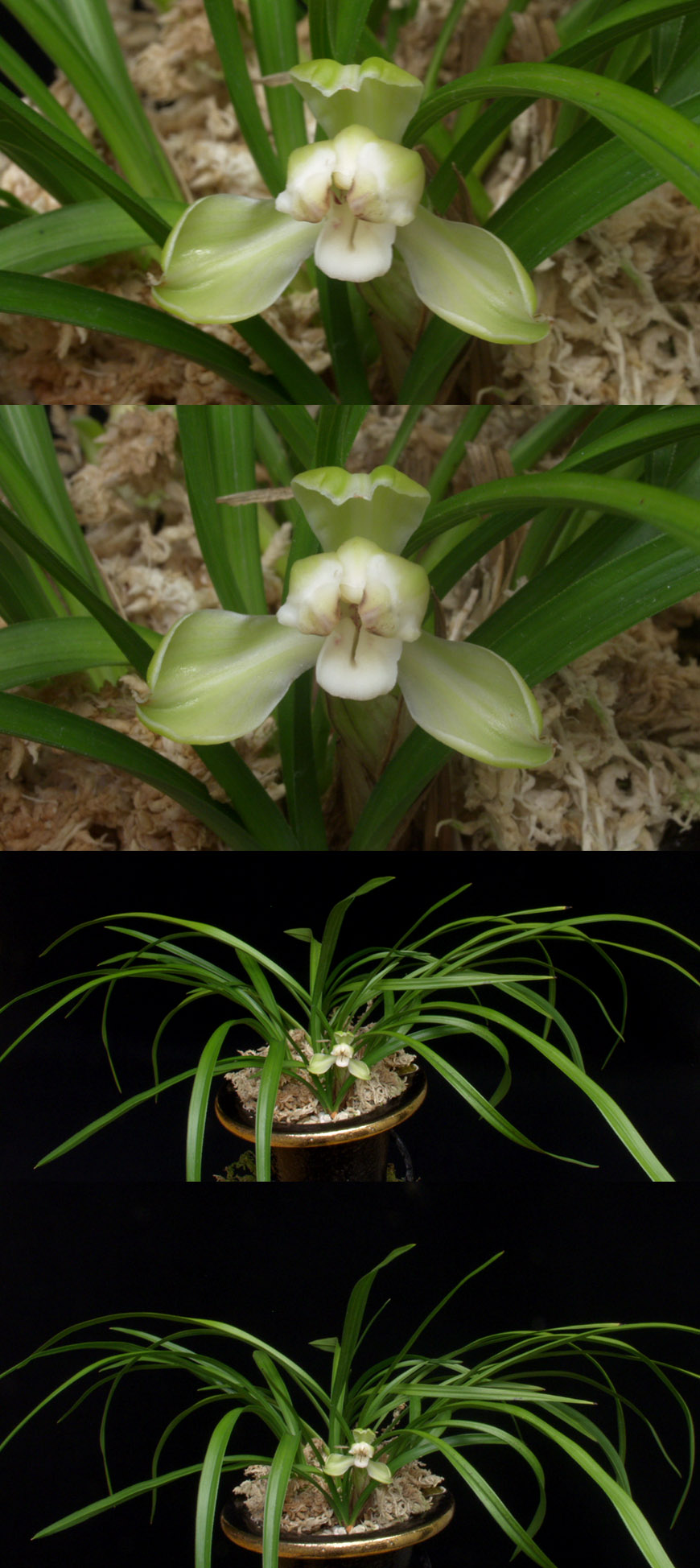 ������ ū������ �� �� �ֽ��ϴ�.