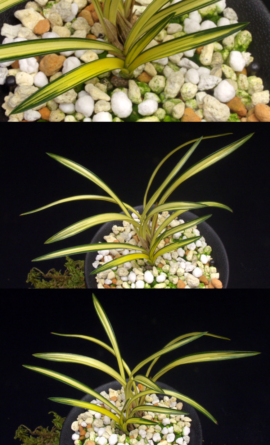 ������ ū������ �� �� �ֽ��ϴ�.