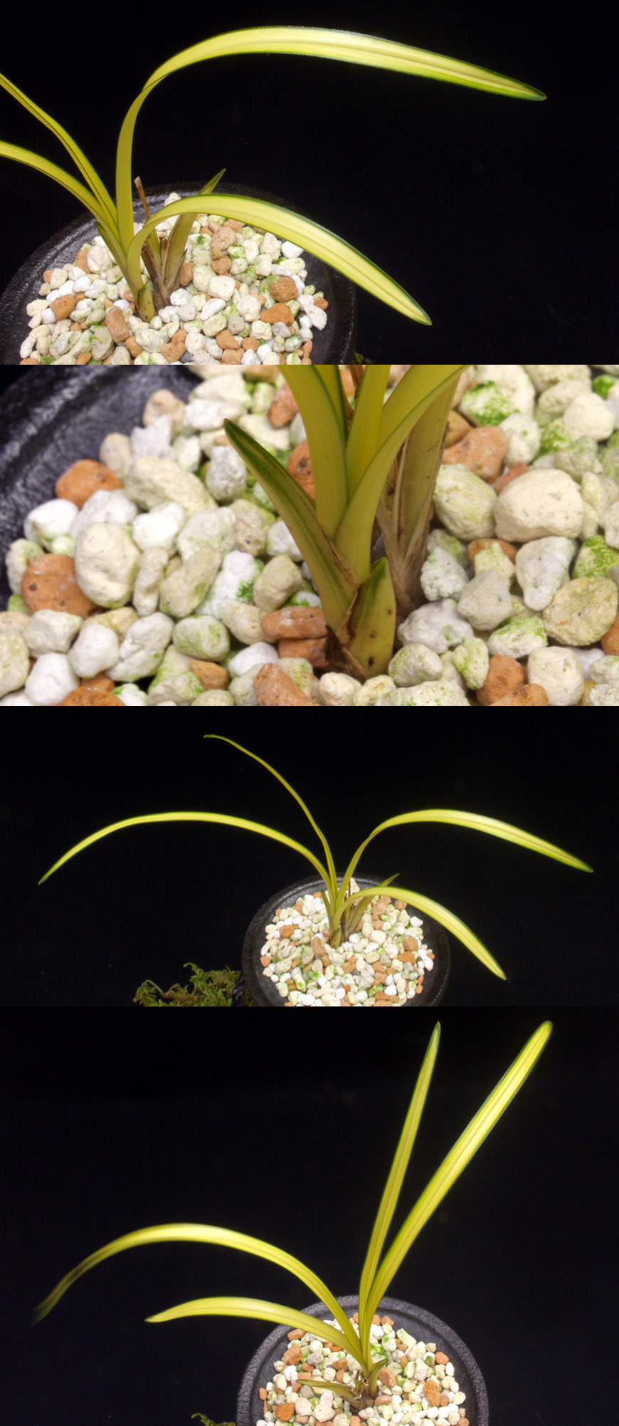 ������ ū������ �� �� �ֽ��ϴ�.