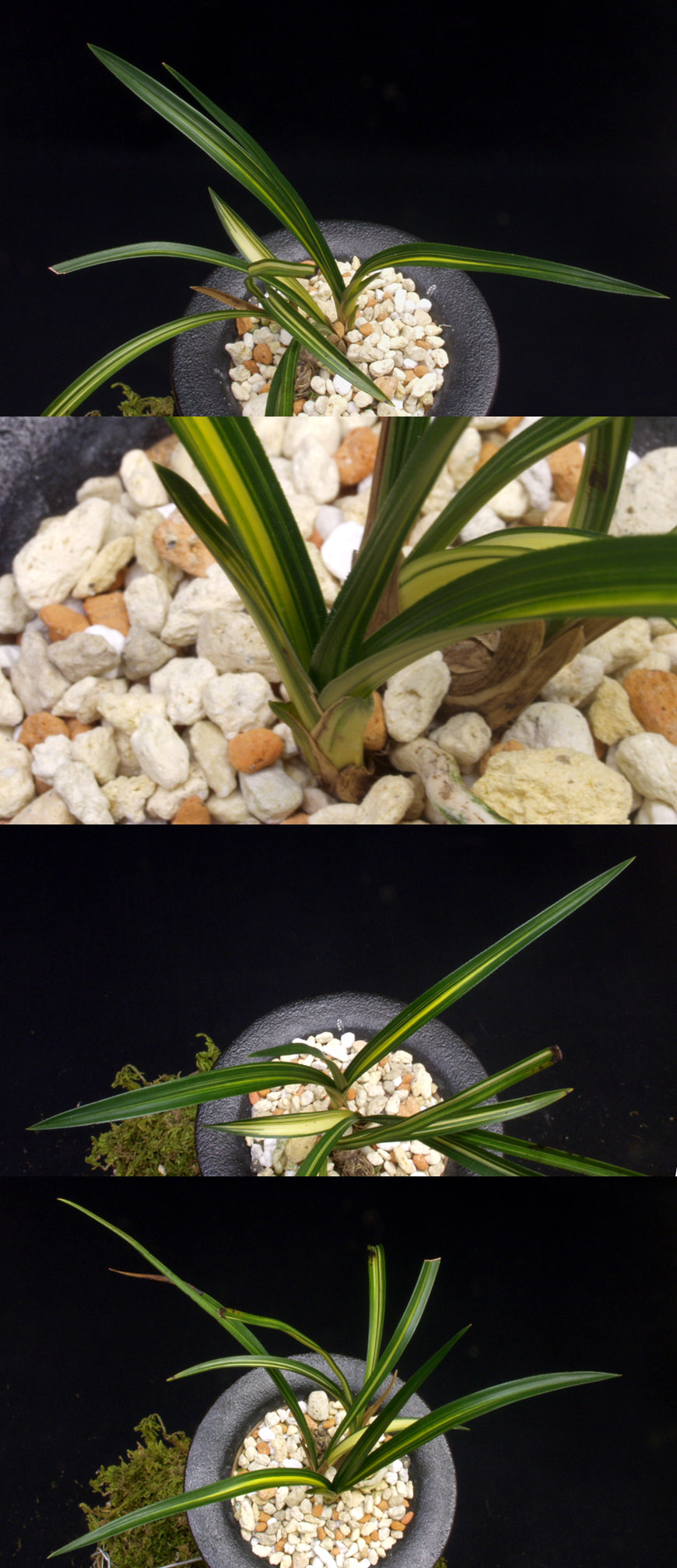 ������ ū������ �� �� �ֽ��ϴ�.