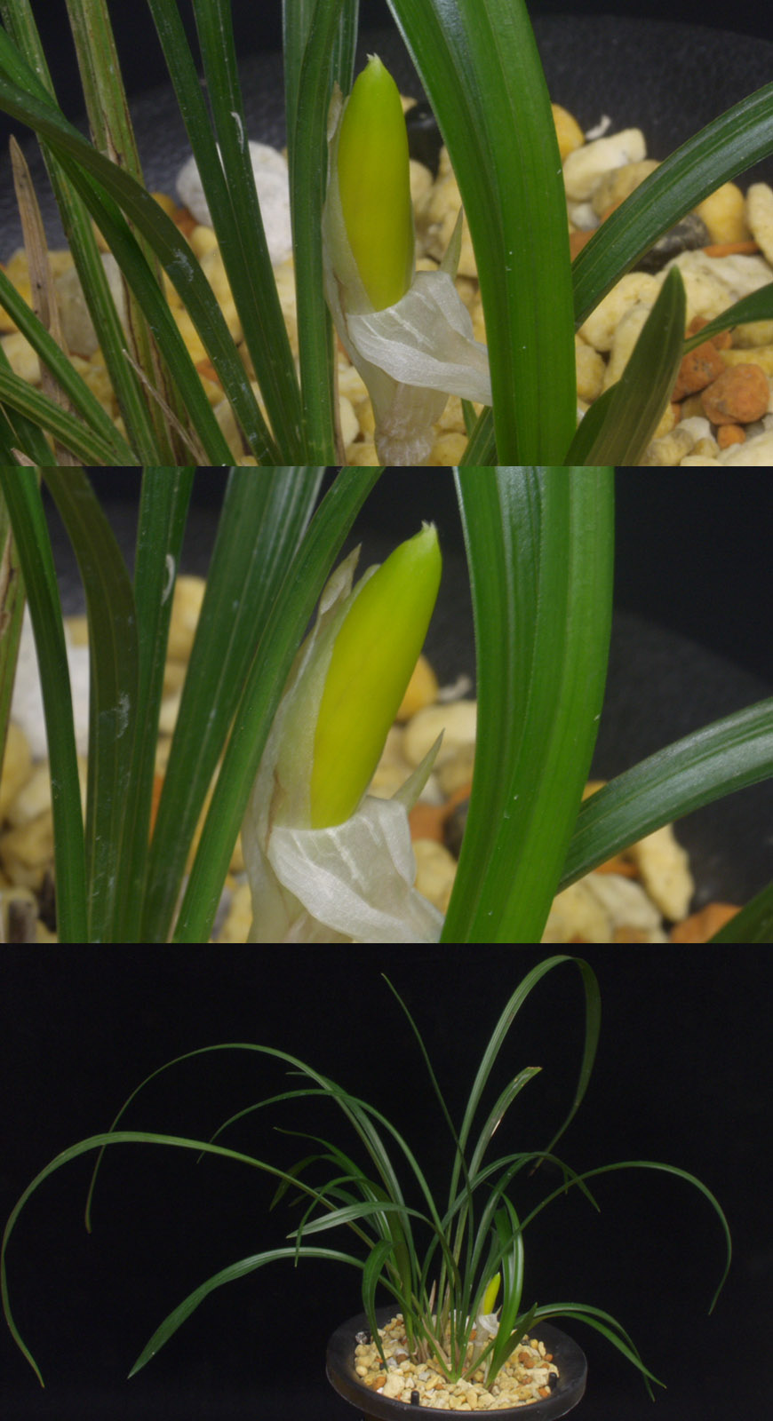 ������ ū������ �� �� �ֽ��ϴ�.