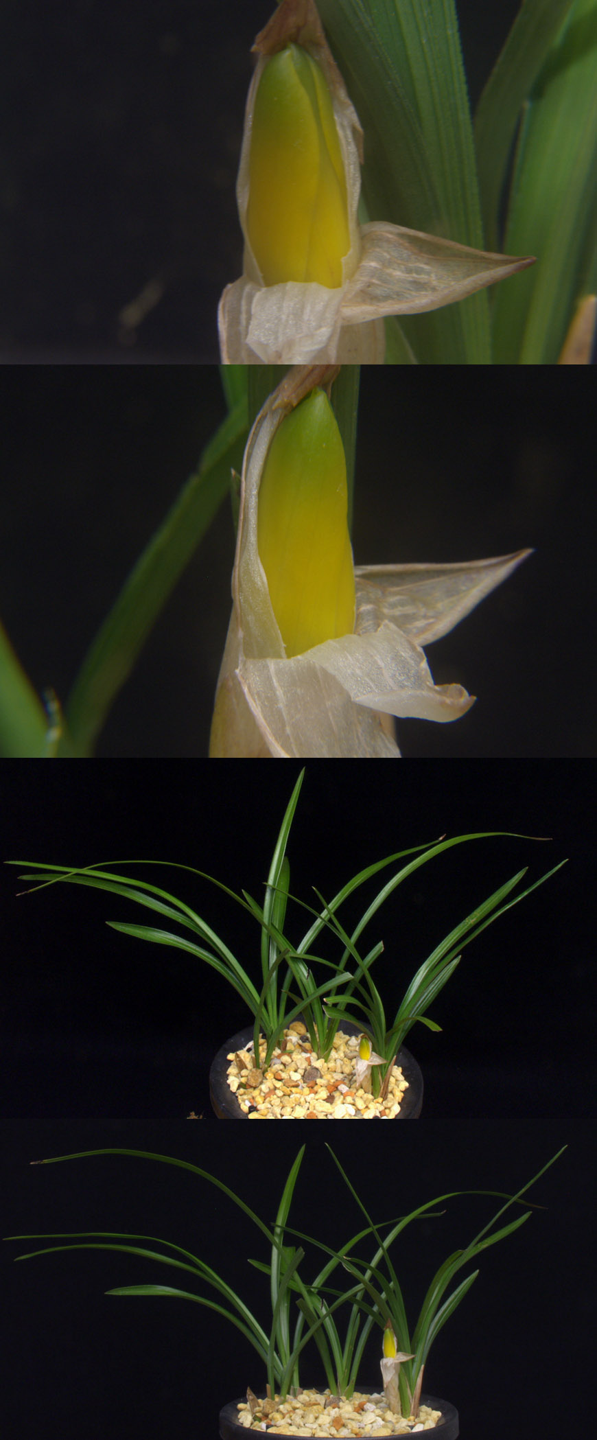 ������ ū������ �� �� �ֽ��ϴ�.