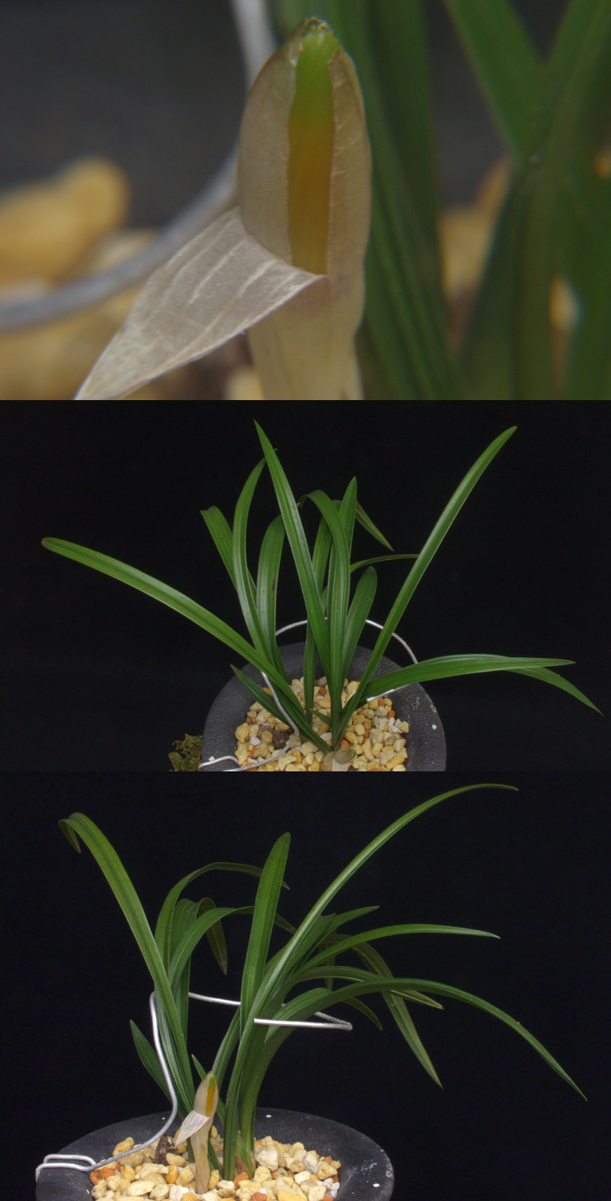 ������ ū������ �� �� �ֽ��ϴ�.