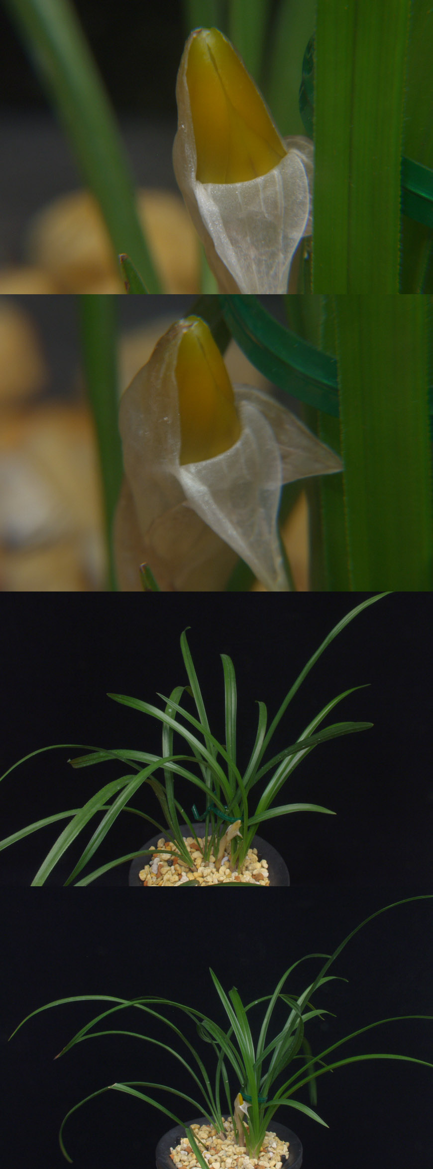 ������ ū������ �� �� �ֽ��ϴ�.