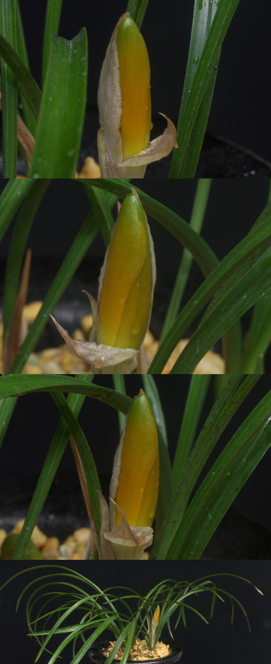 ������ ū������ �� �� �ֽ��ϴ�.