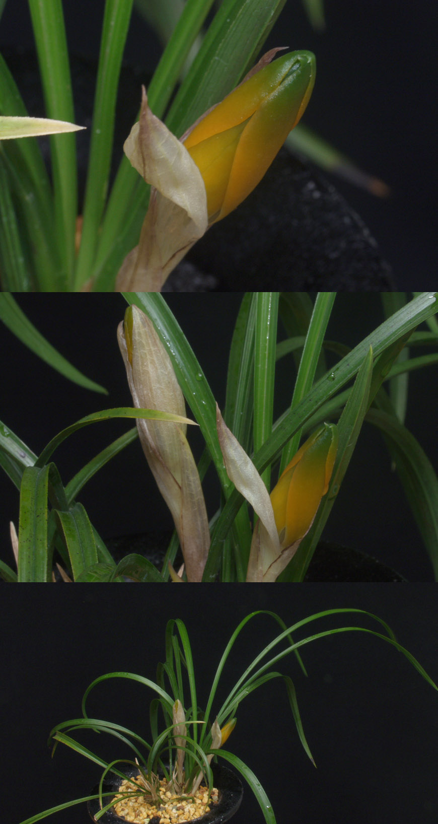 ������ ū������ �� �� �ֽ��ϴ�.