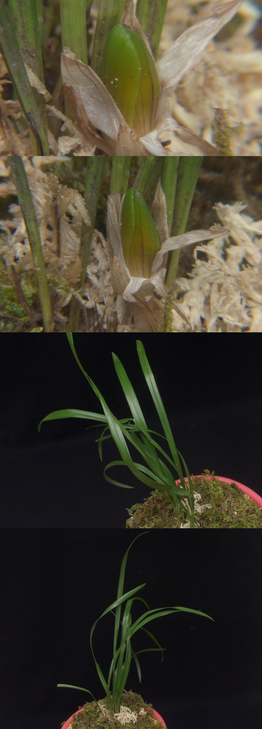 ������ ū������ �� �� �ֽ��ϴ�.