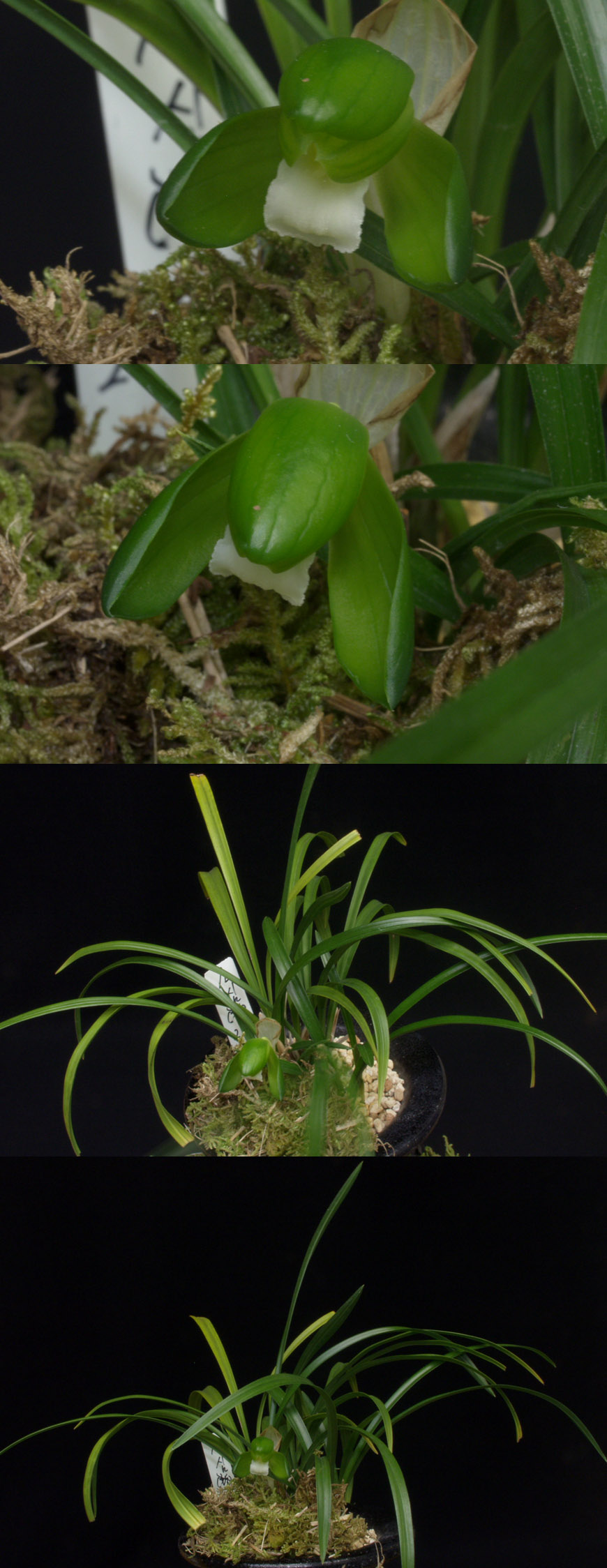 ������ ū������ �� �� �ֽ��ϴ�.